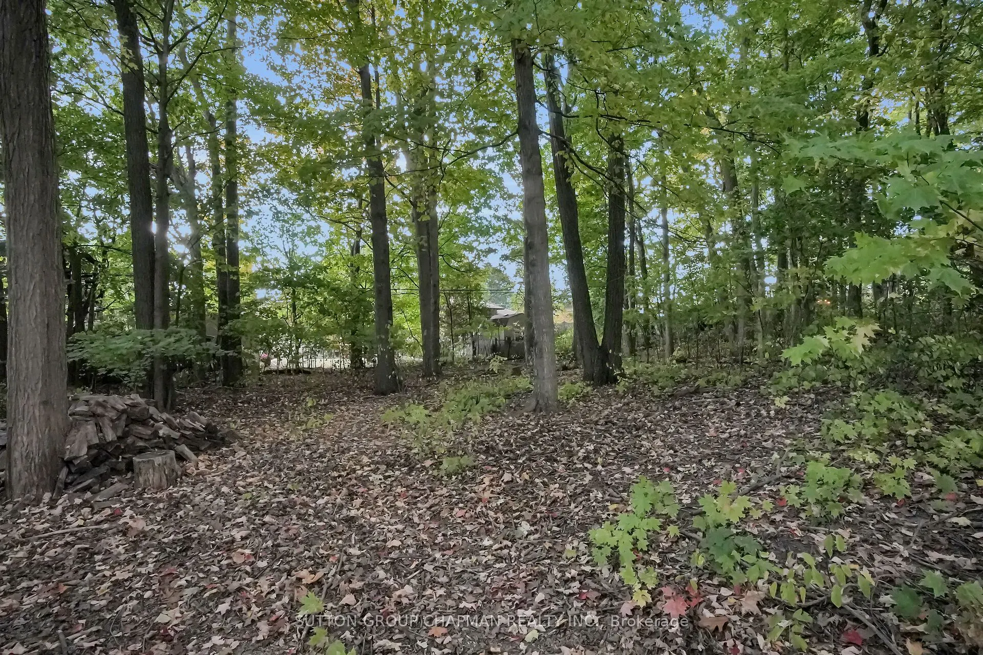 462 Oak Park Drive