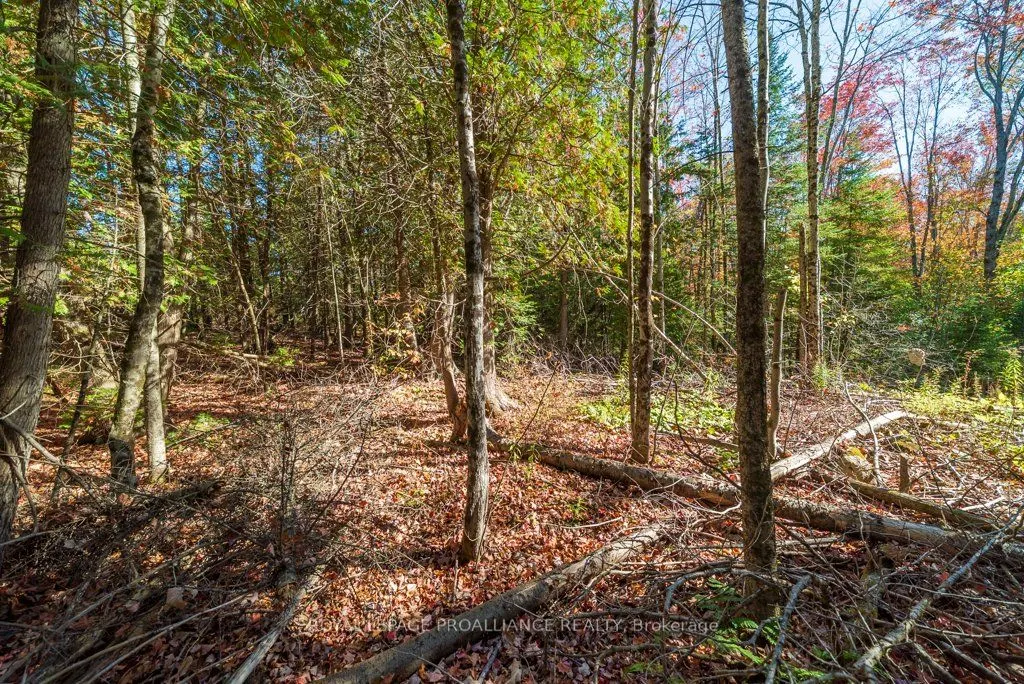 525 Skootamatta Lake Road