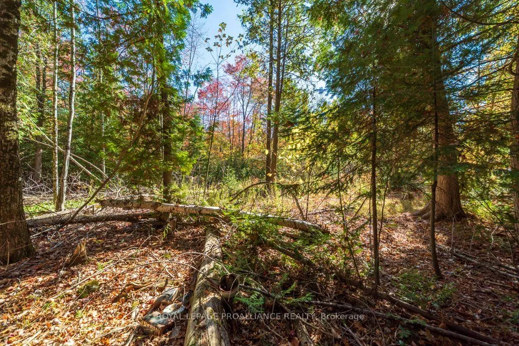525 Skootamatta Lake Road