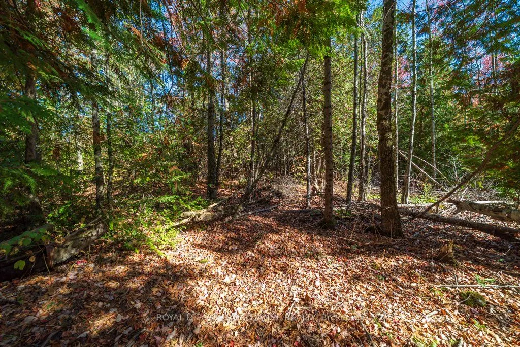 525 Skootamatta Lake Road