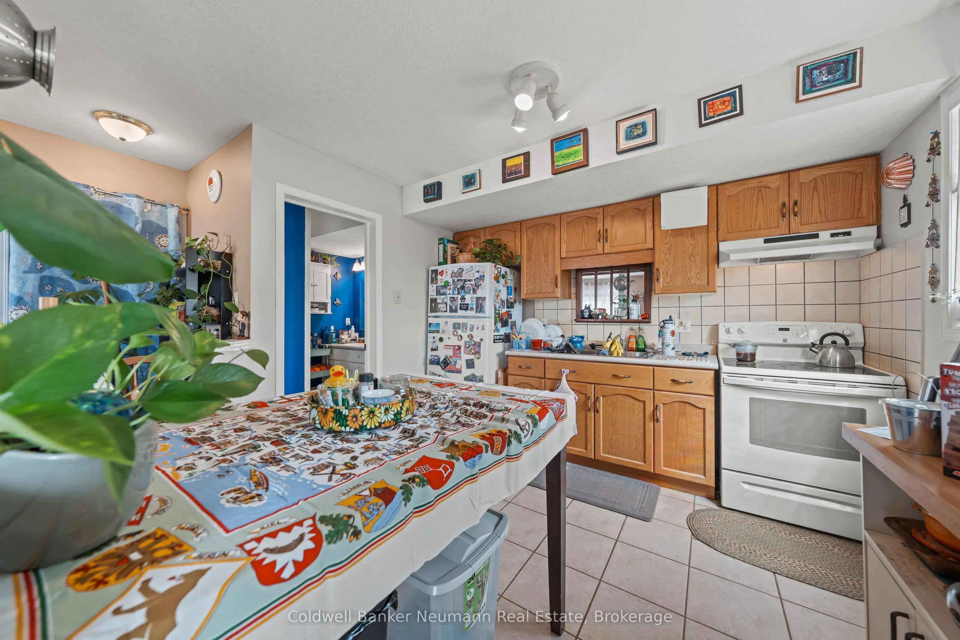 28 Bronwyn Place