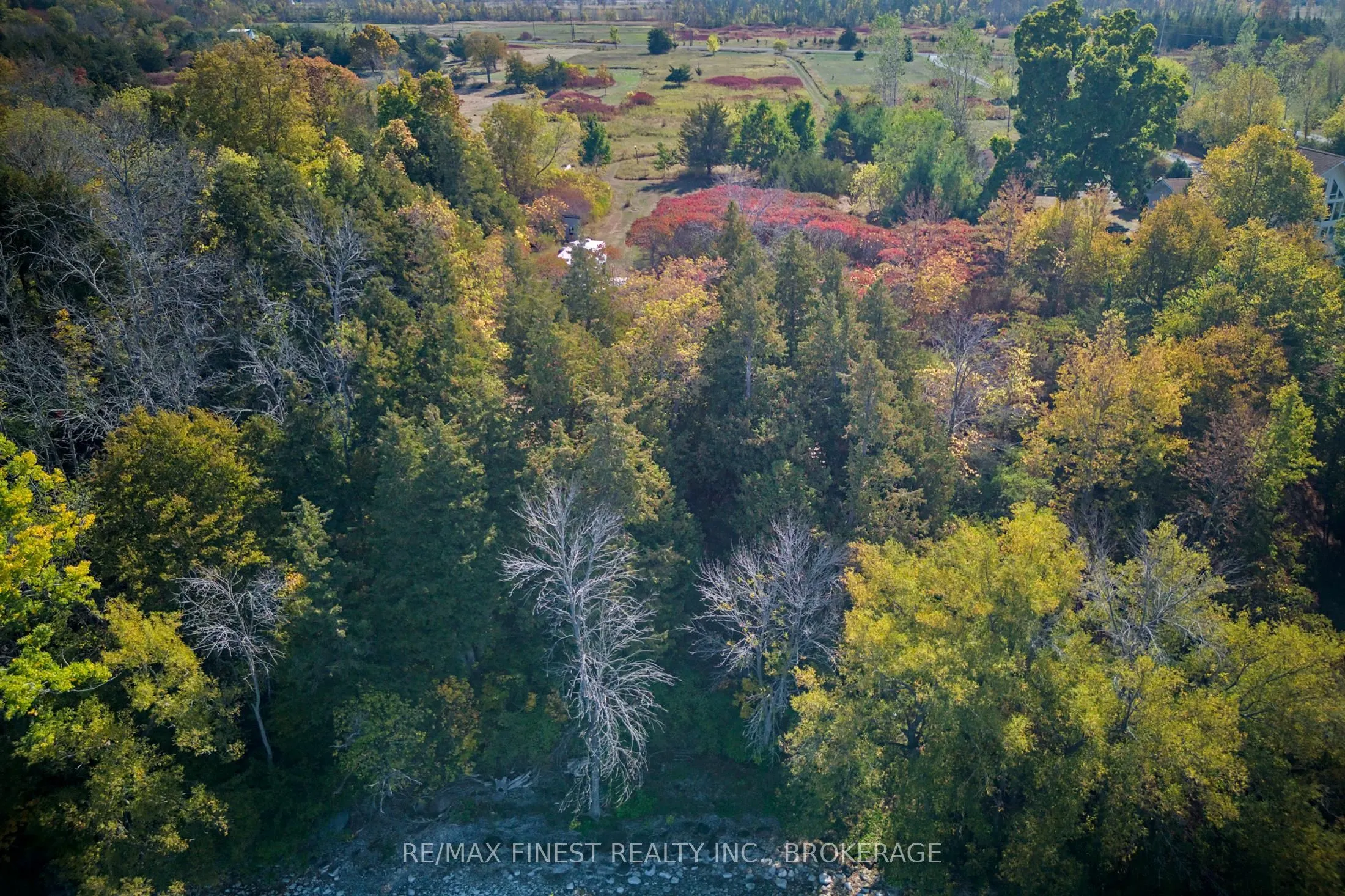 8300 Front Road