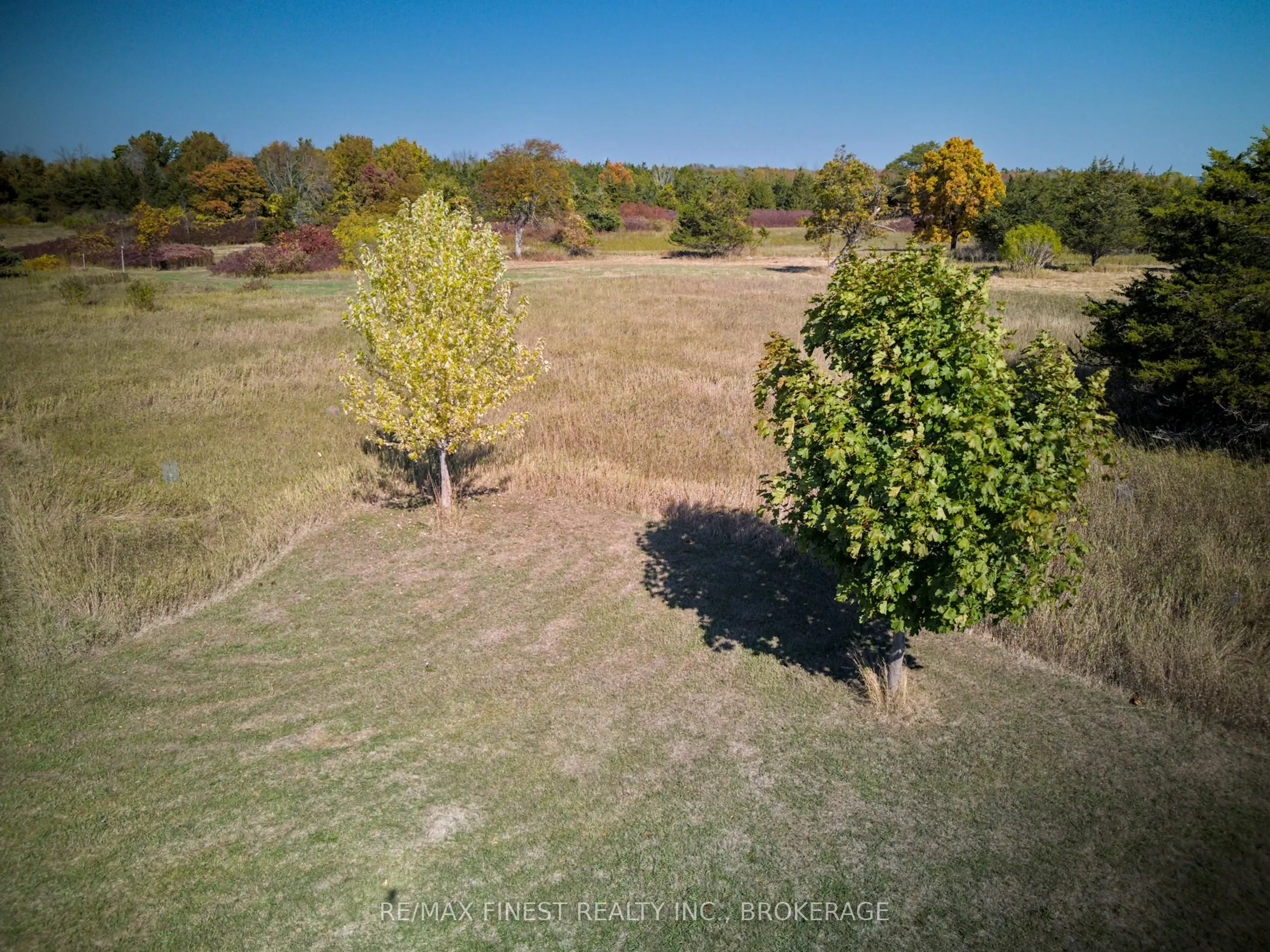 8300 Front Road