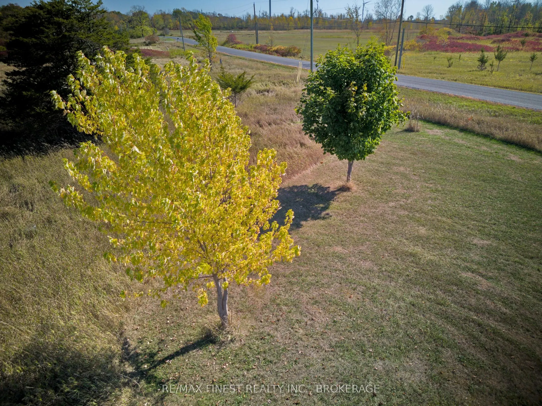 8300 Front Road
