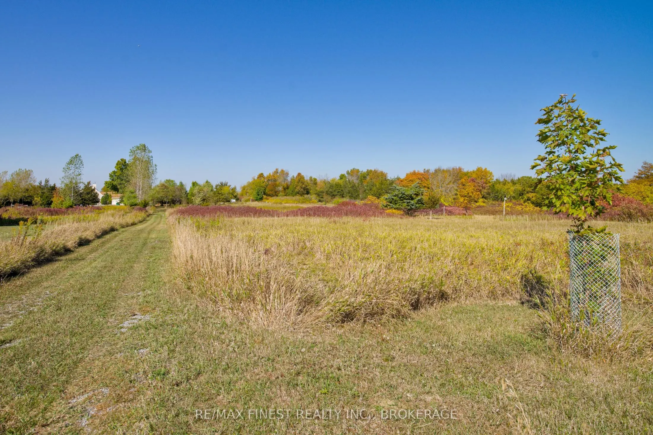 8300 Front Road
