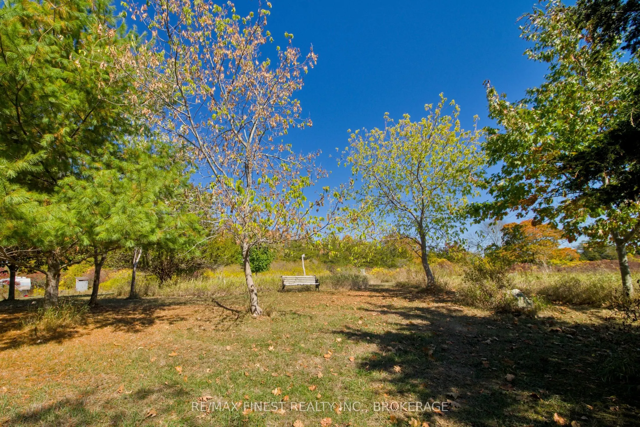 8300 Front Road