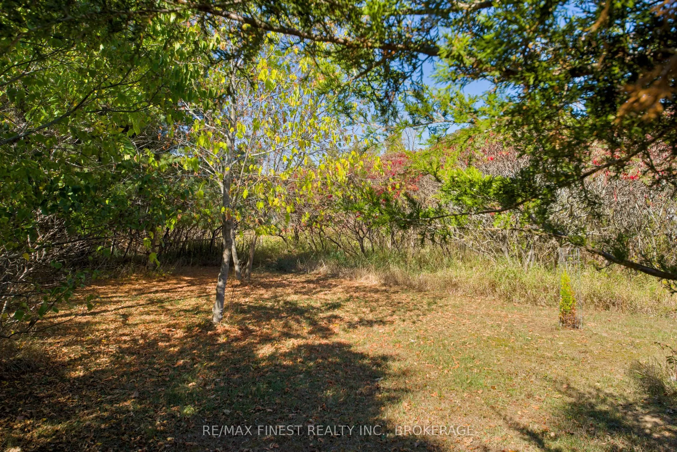 8300 Front Road