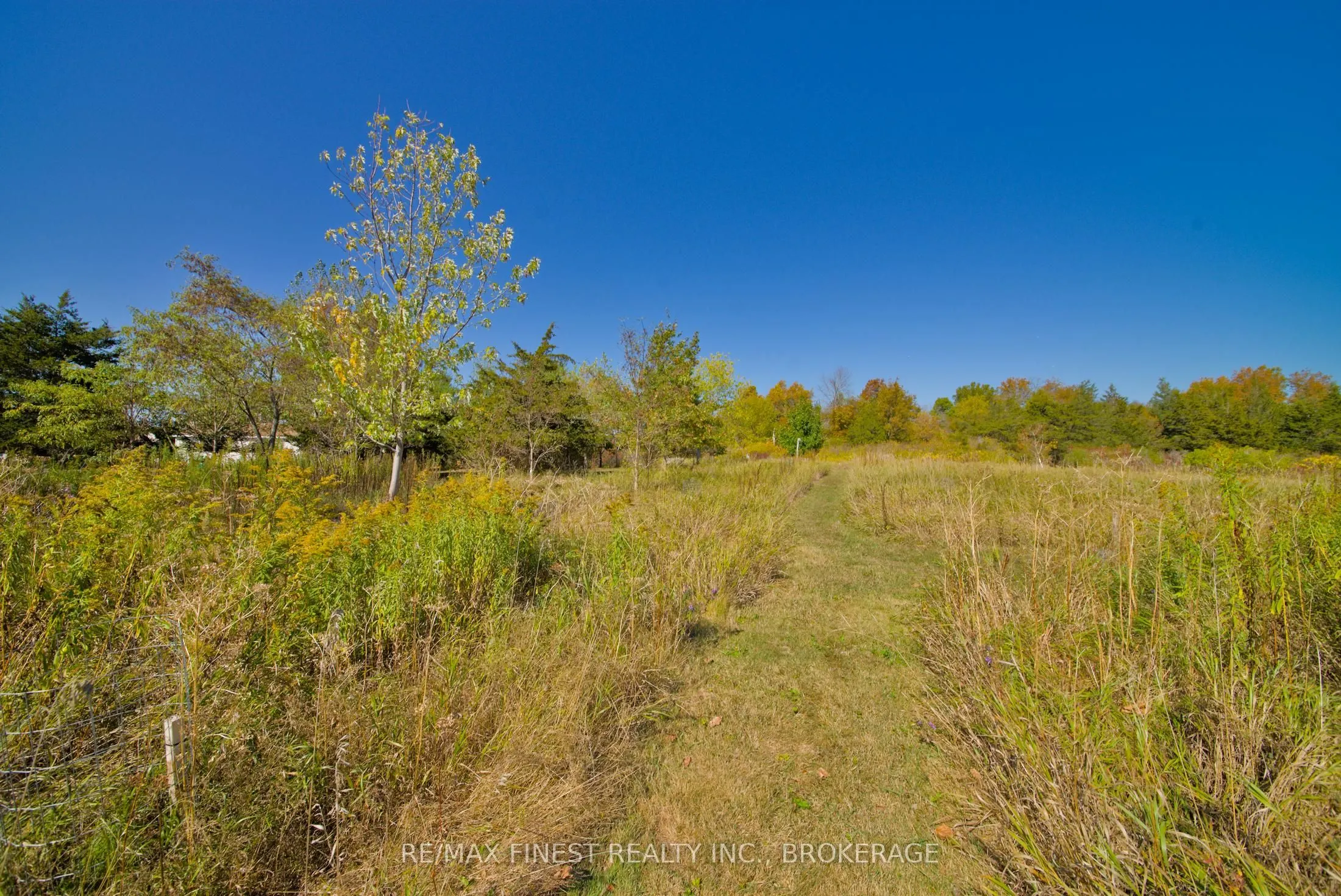 8300 Front Road