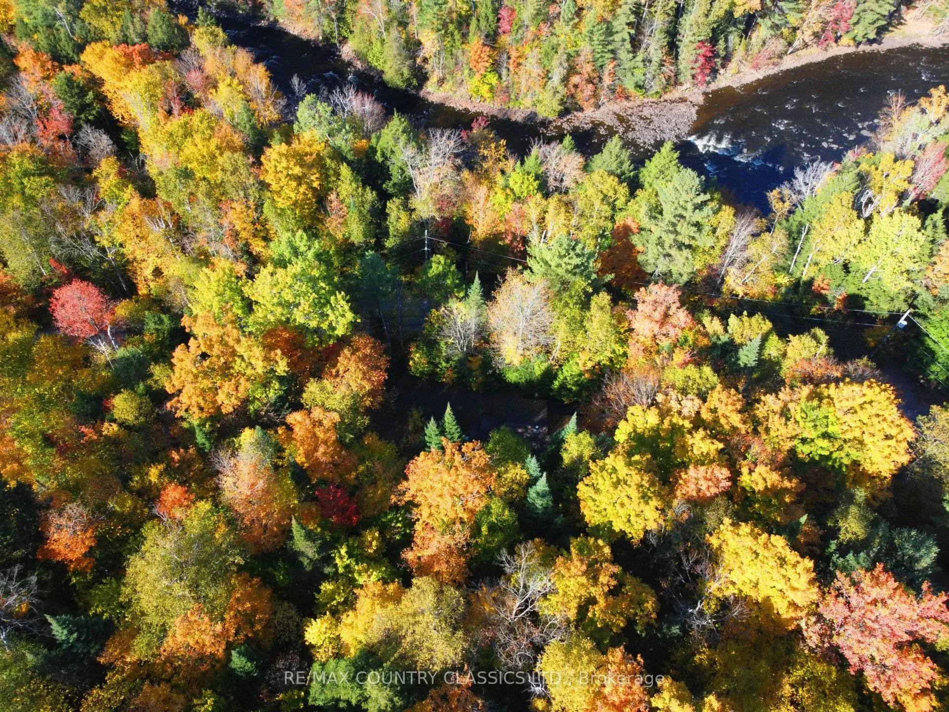 1785 Kamaniskeg Lake Road