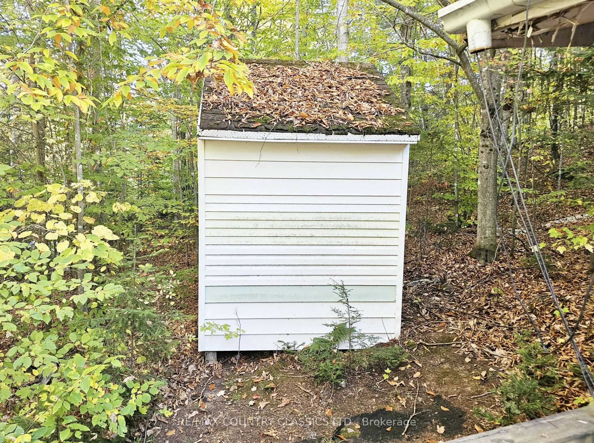 1785 Kamaniskeg Lake Road