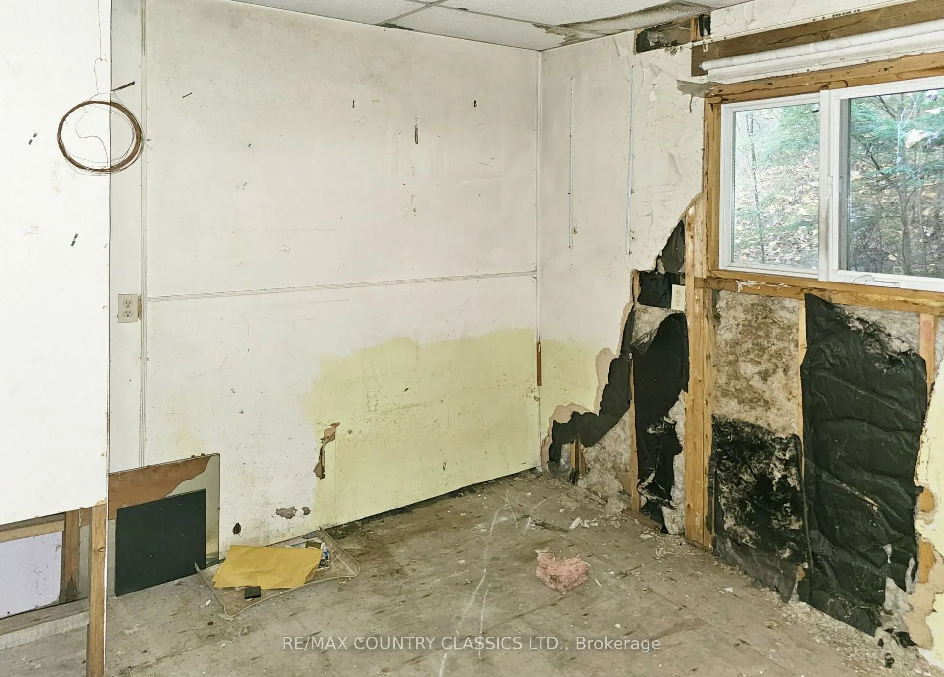 1785 Kamaniskeg Lake Road