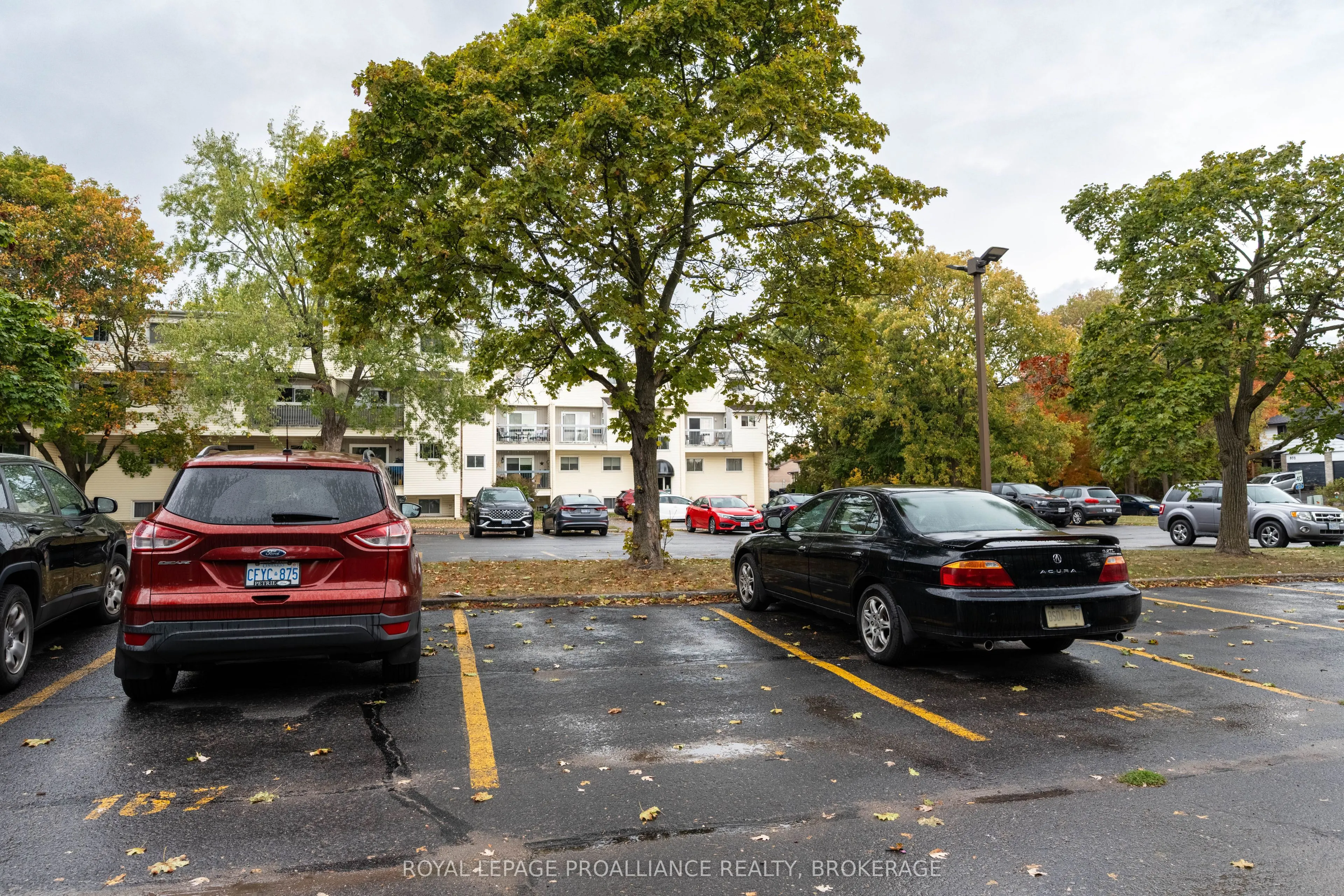 845 Milford Drive, #101