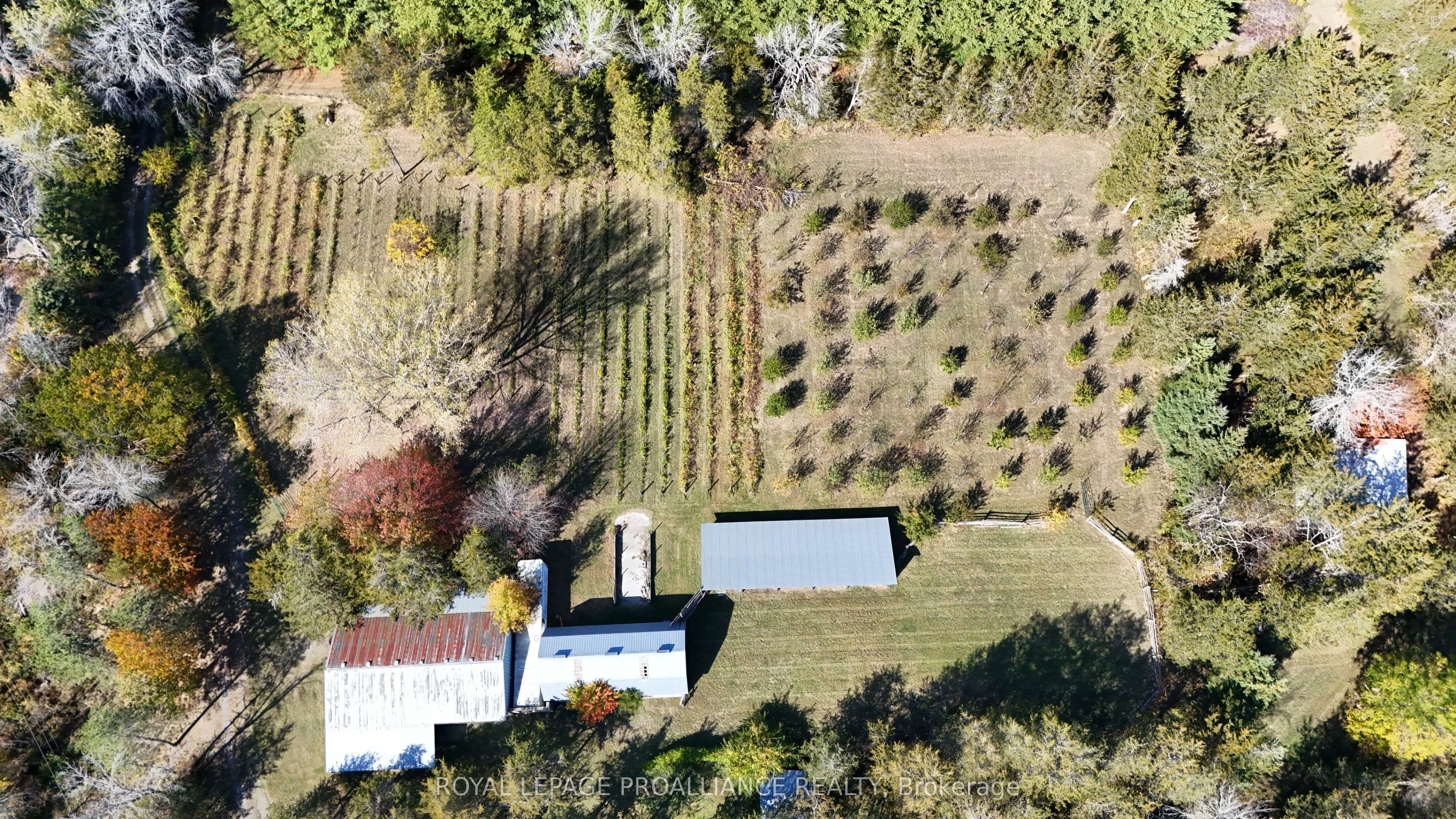 4563 County Road 9