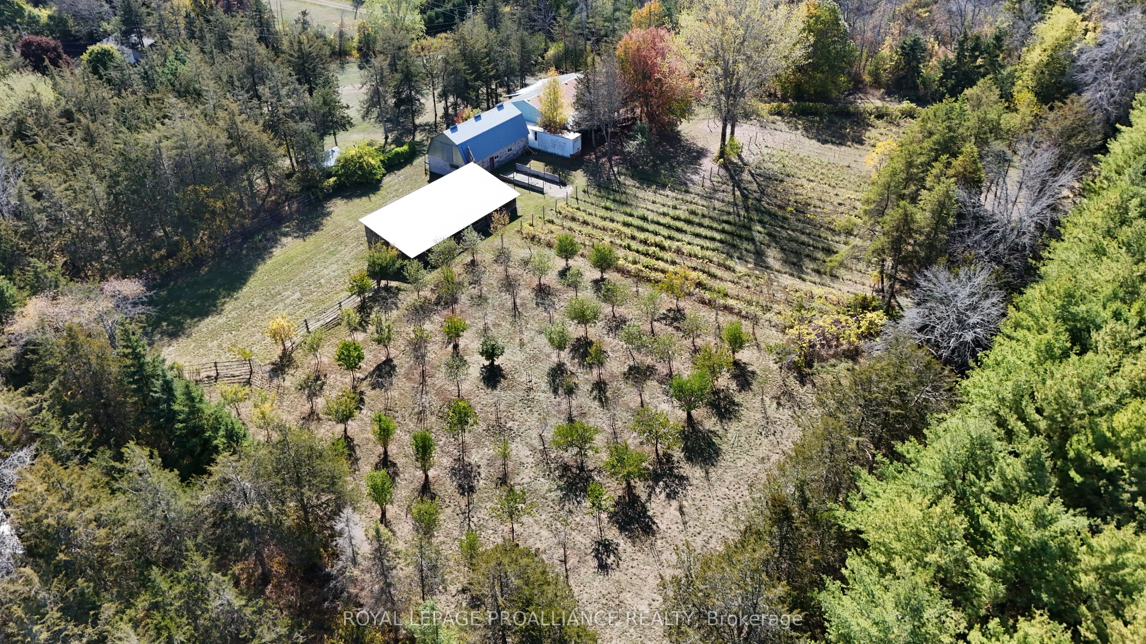 4563 County Road 9