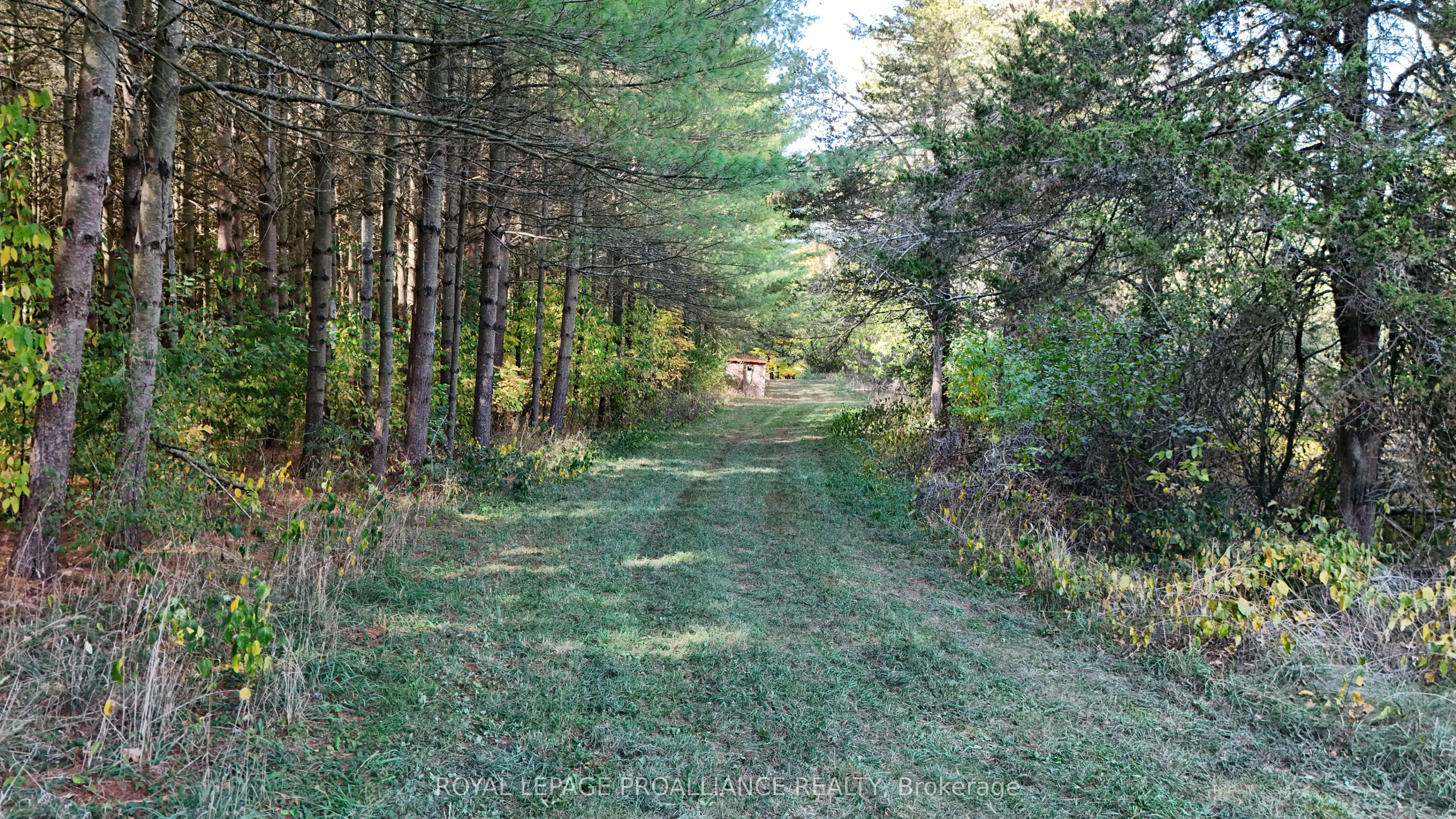 4563 County Road 9