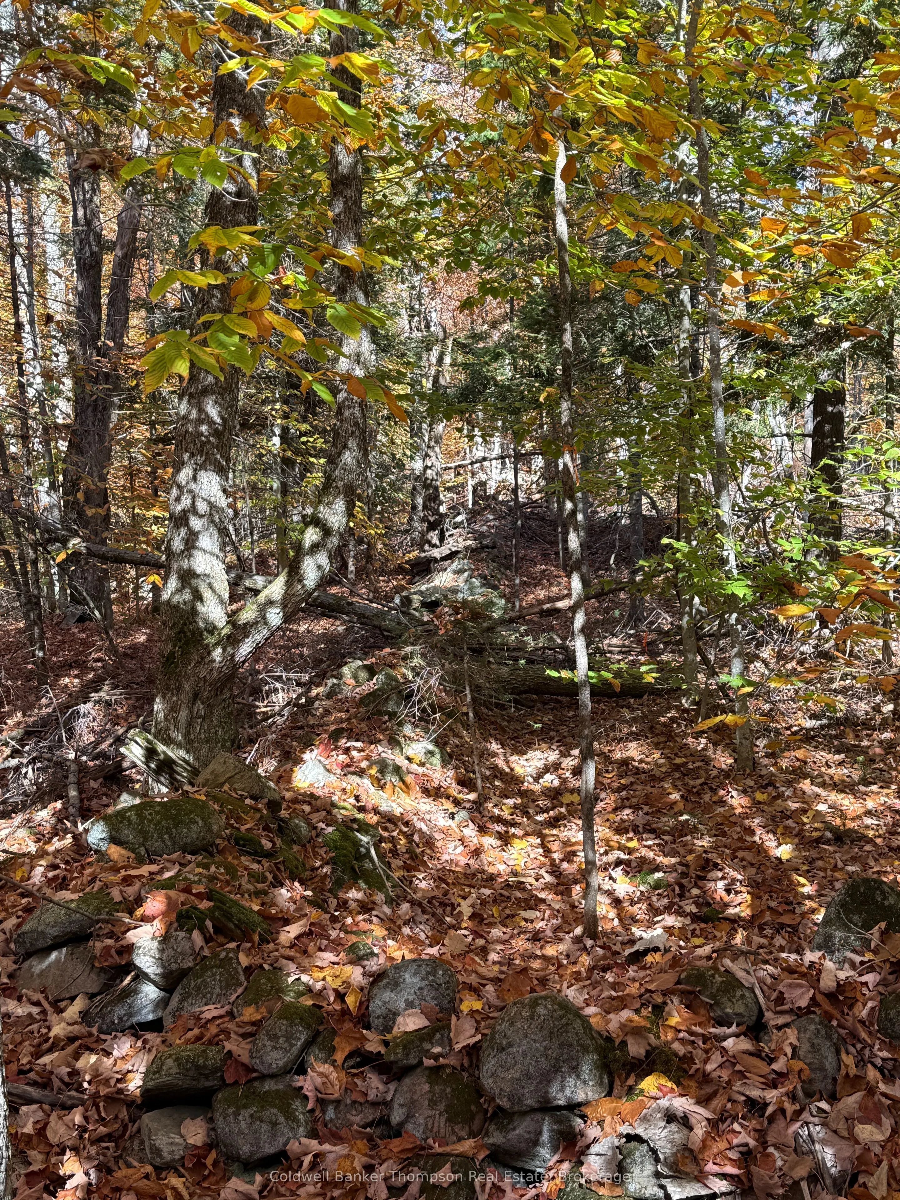 LT 29 CON 11 FRANKLIN; Lake of Bays, The District Municipality of Muskoka