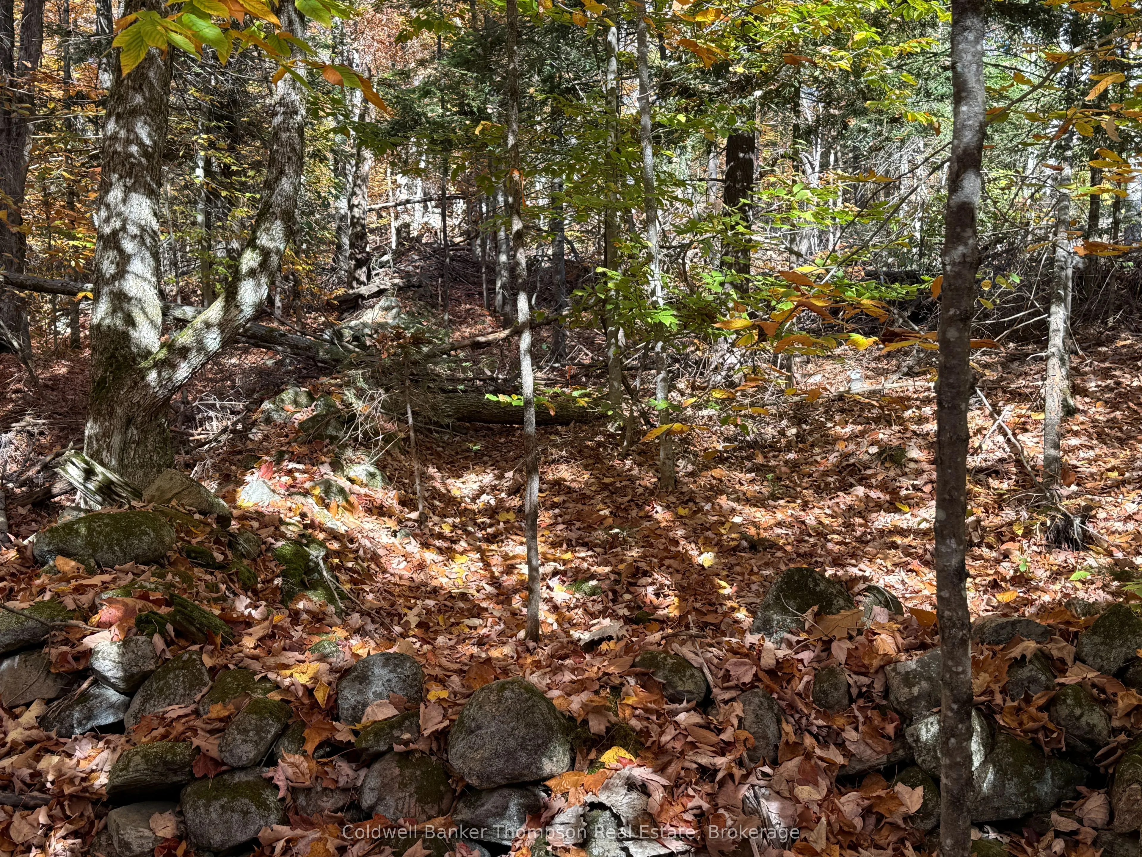 LT 29 CON 11 FRANKLIN; Lake of Bays, The District Municipality of Muskoka