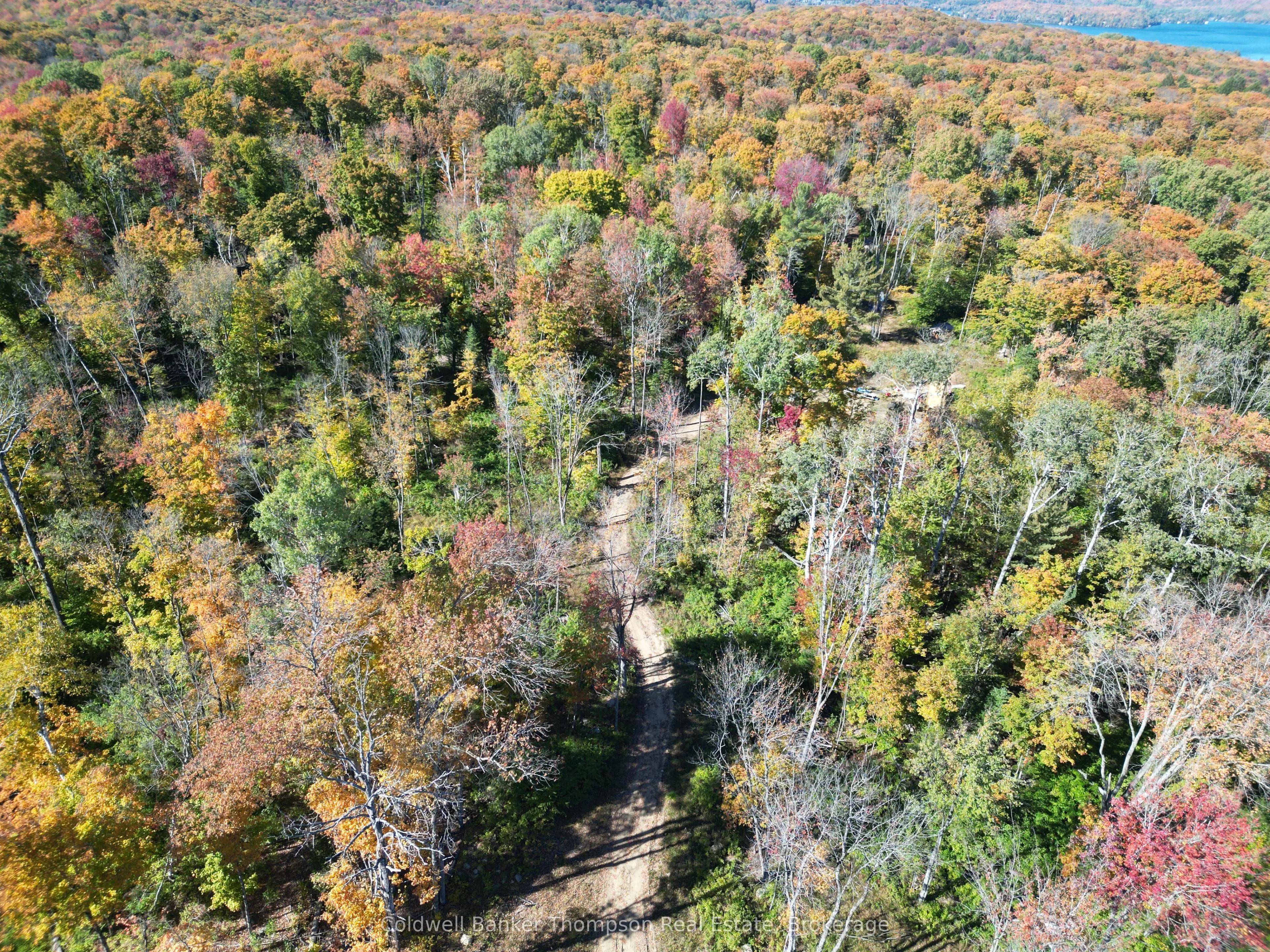 LT 29 CON 11 FRANKLIN; Lake of Bays, The District Municipality of Muskoka