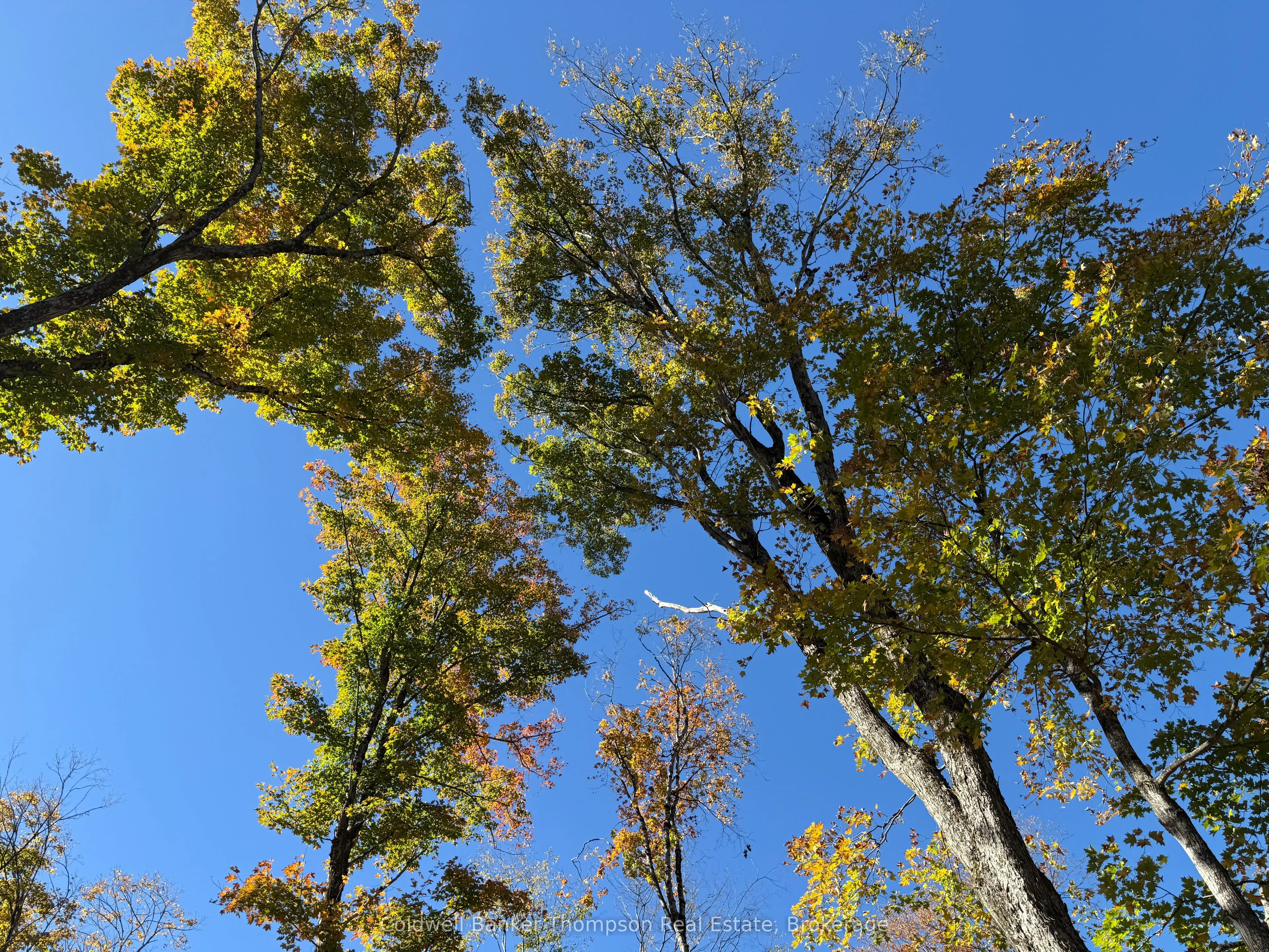 LT 29 CON 11 FRANKLIN; Lake of Bays, The District Municipality of Muskoka