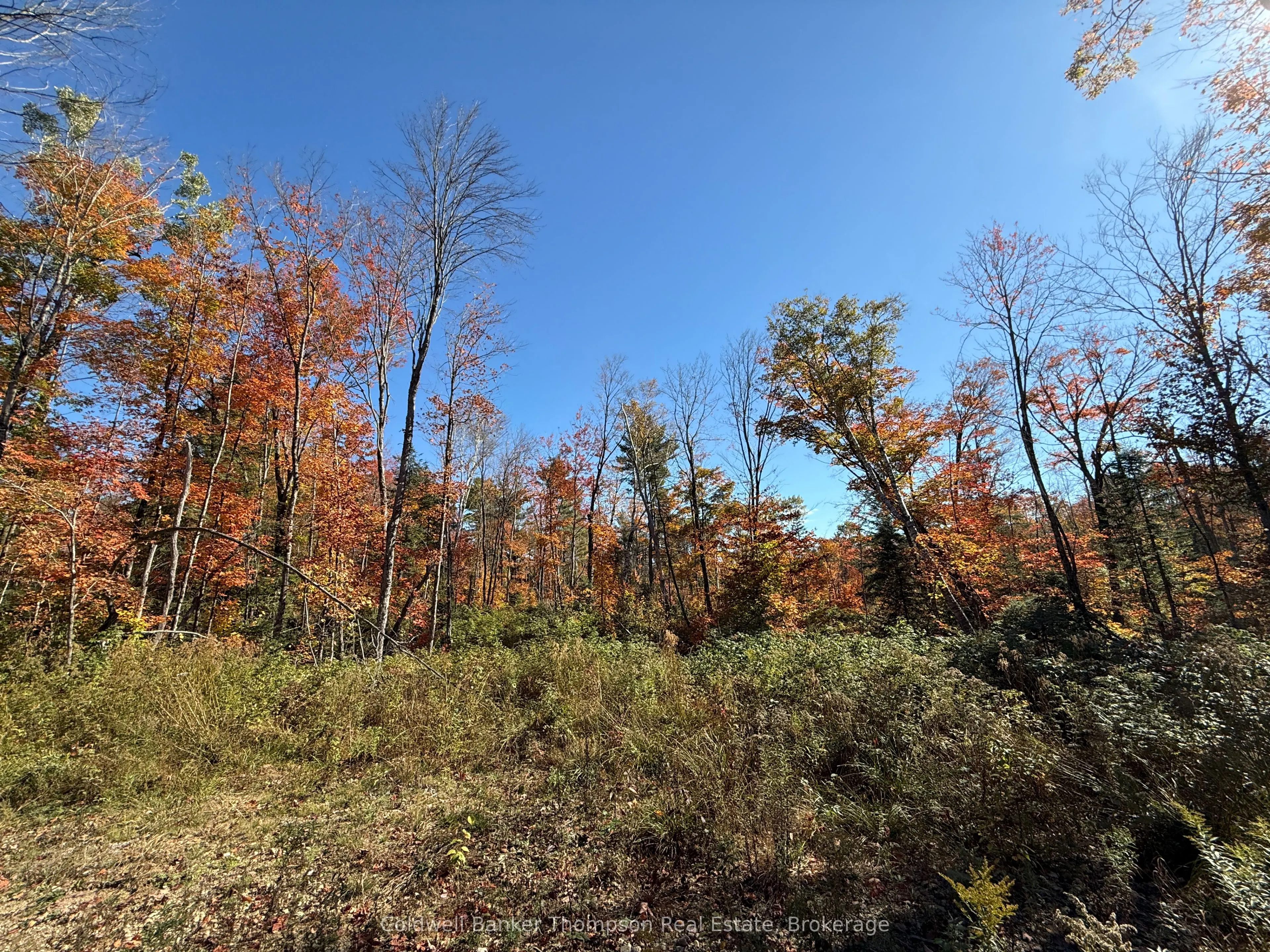 LT 29 CON 11 FRANKLIN; Lake of Bays, The District Municipality of Muskoka