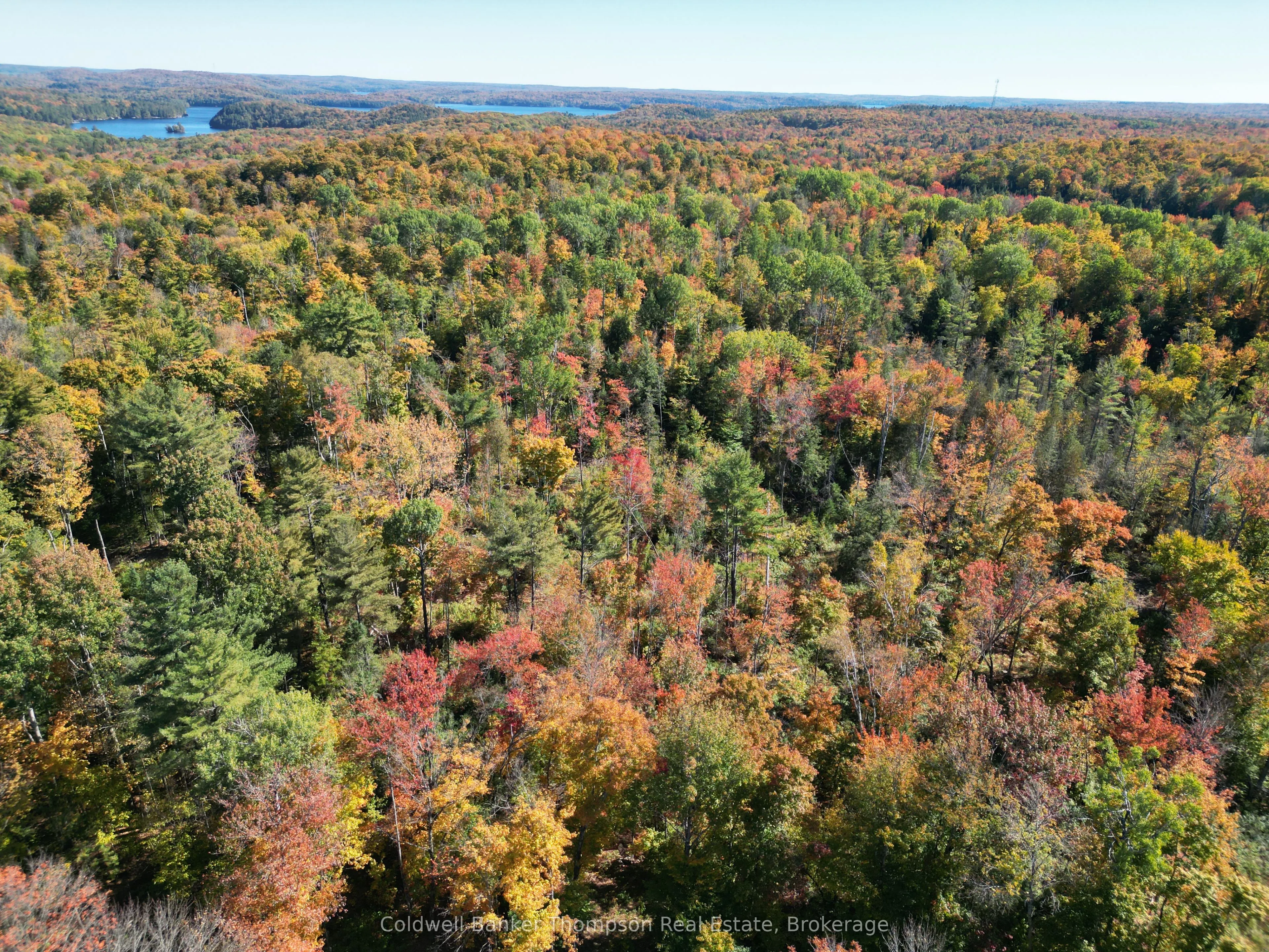 LT 29 CON 11 FRANKLIN; Lake of Bays, The District Municipality of Muskoka