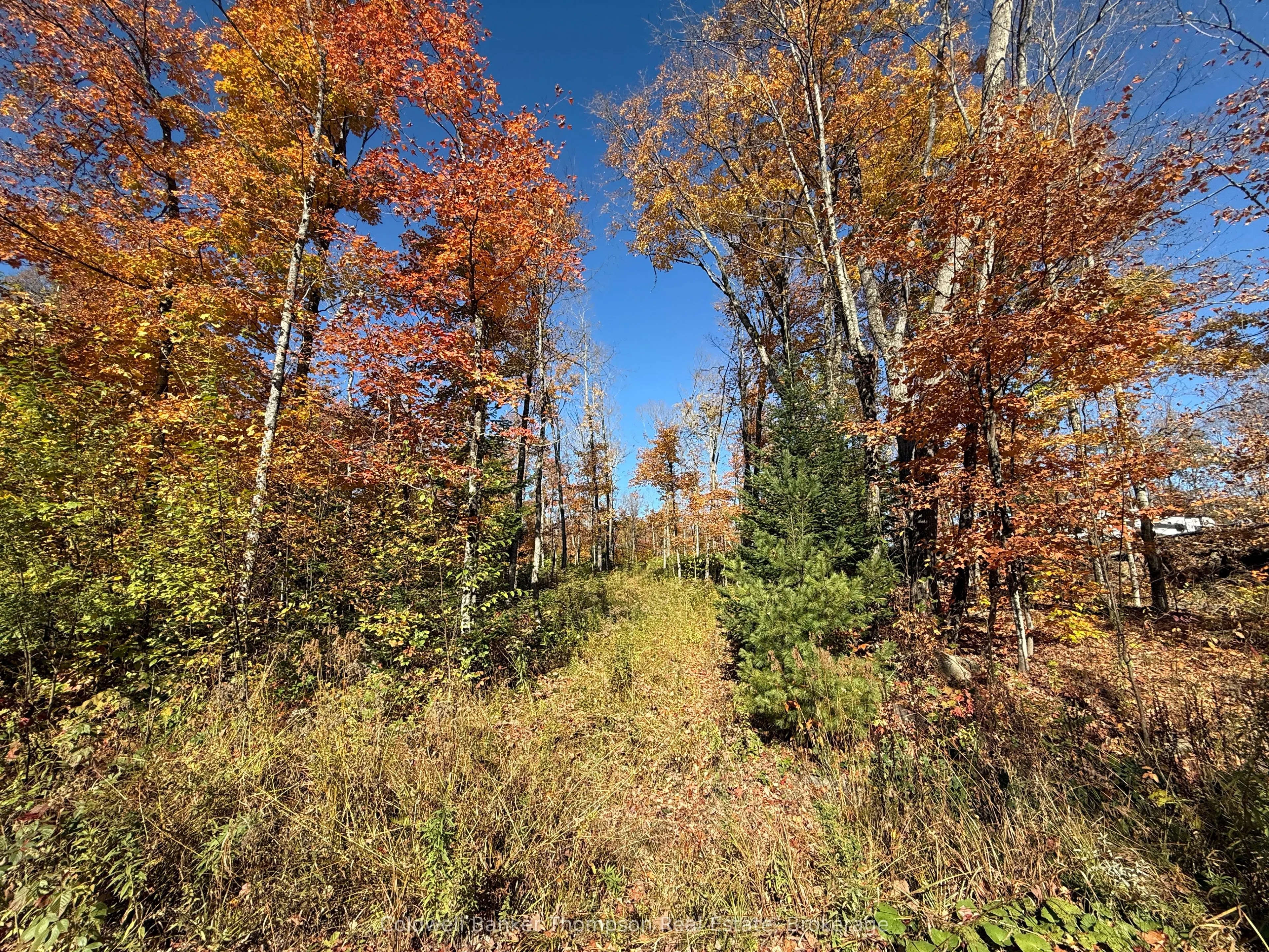 LT 29 CON 11 FRANKLIN; Lake of Bays, The District Municipality of Muskoka