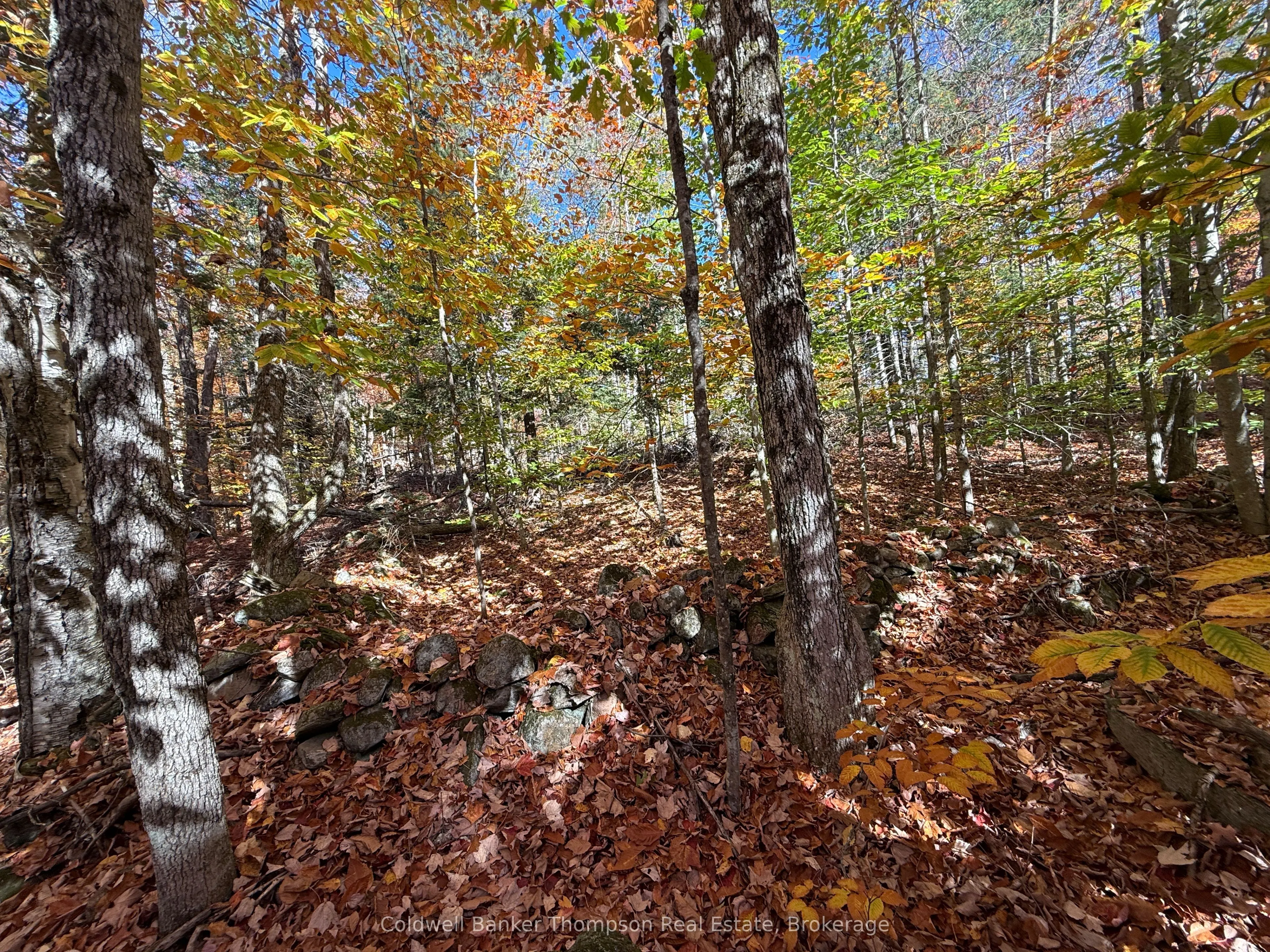 LT 29 CON 11 FRANKLIN; Lake of Bays, The District Municipality of Muskoka