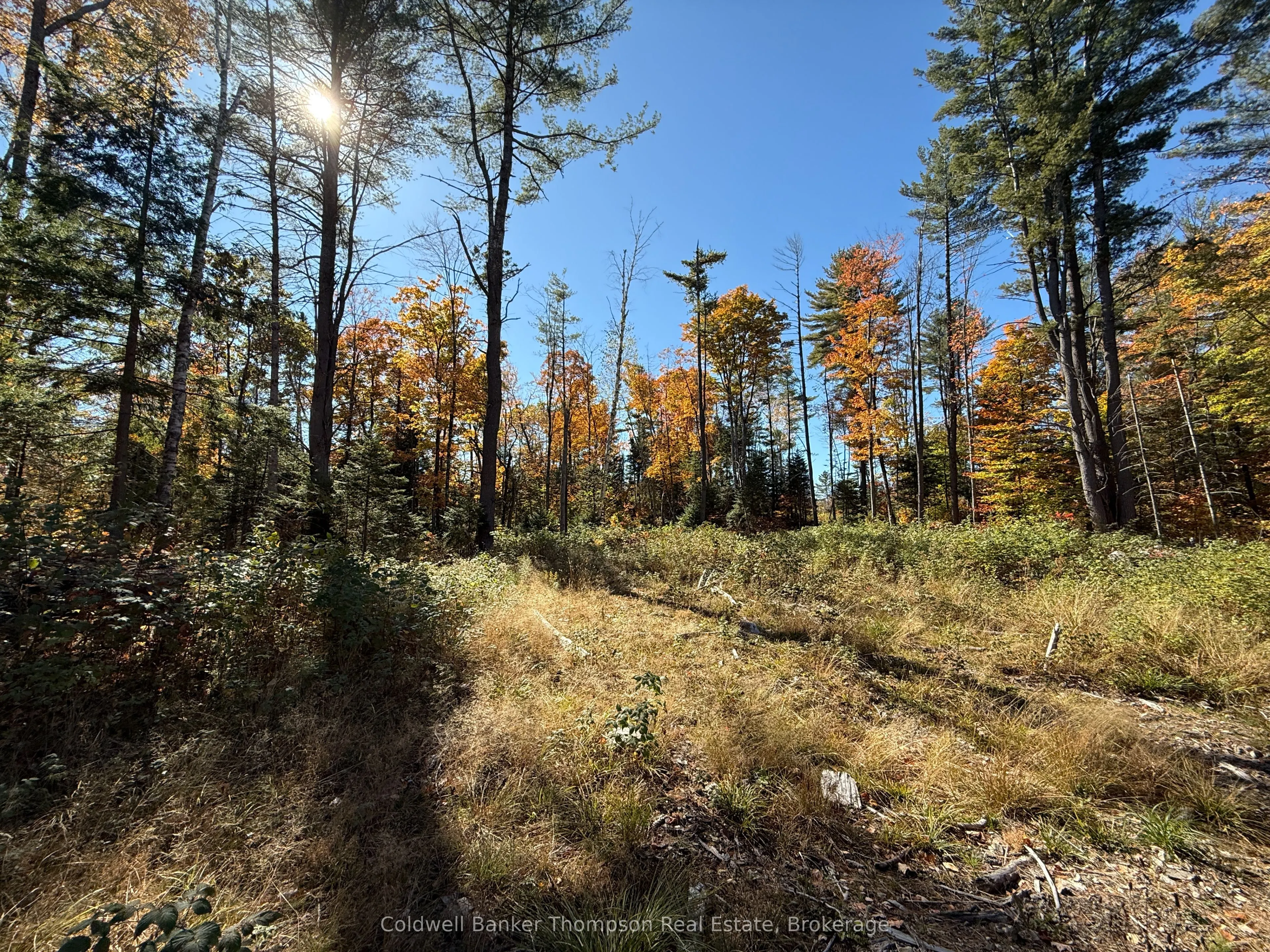 LT 29 CON 11 FRANKLIN; Lake of Bays, The District Municipality of Muskoka