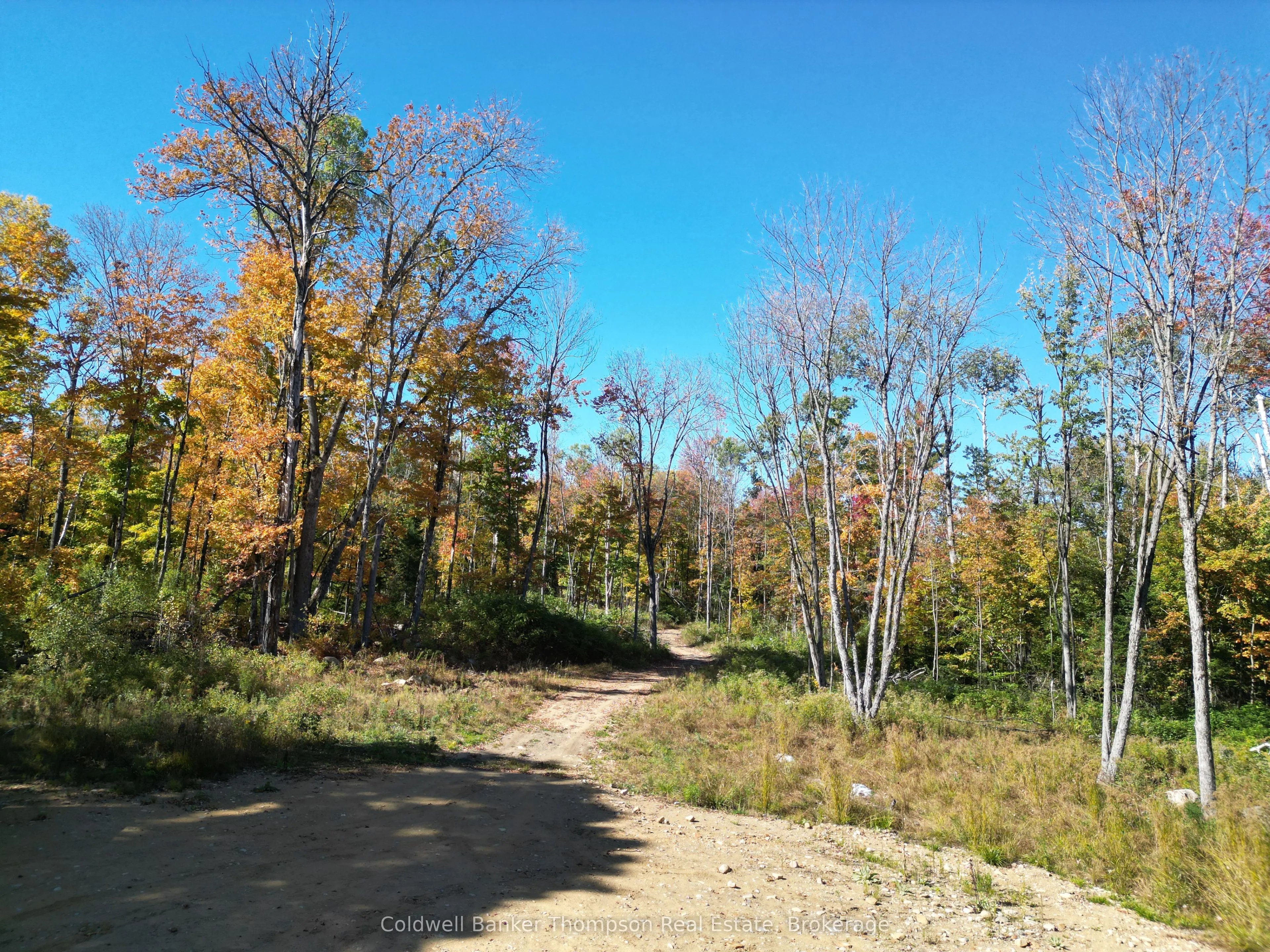 LT 29 CON 11 FRANKLIN; Lake of Bays, The District Municipality of Muskoka