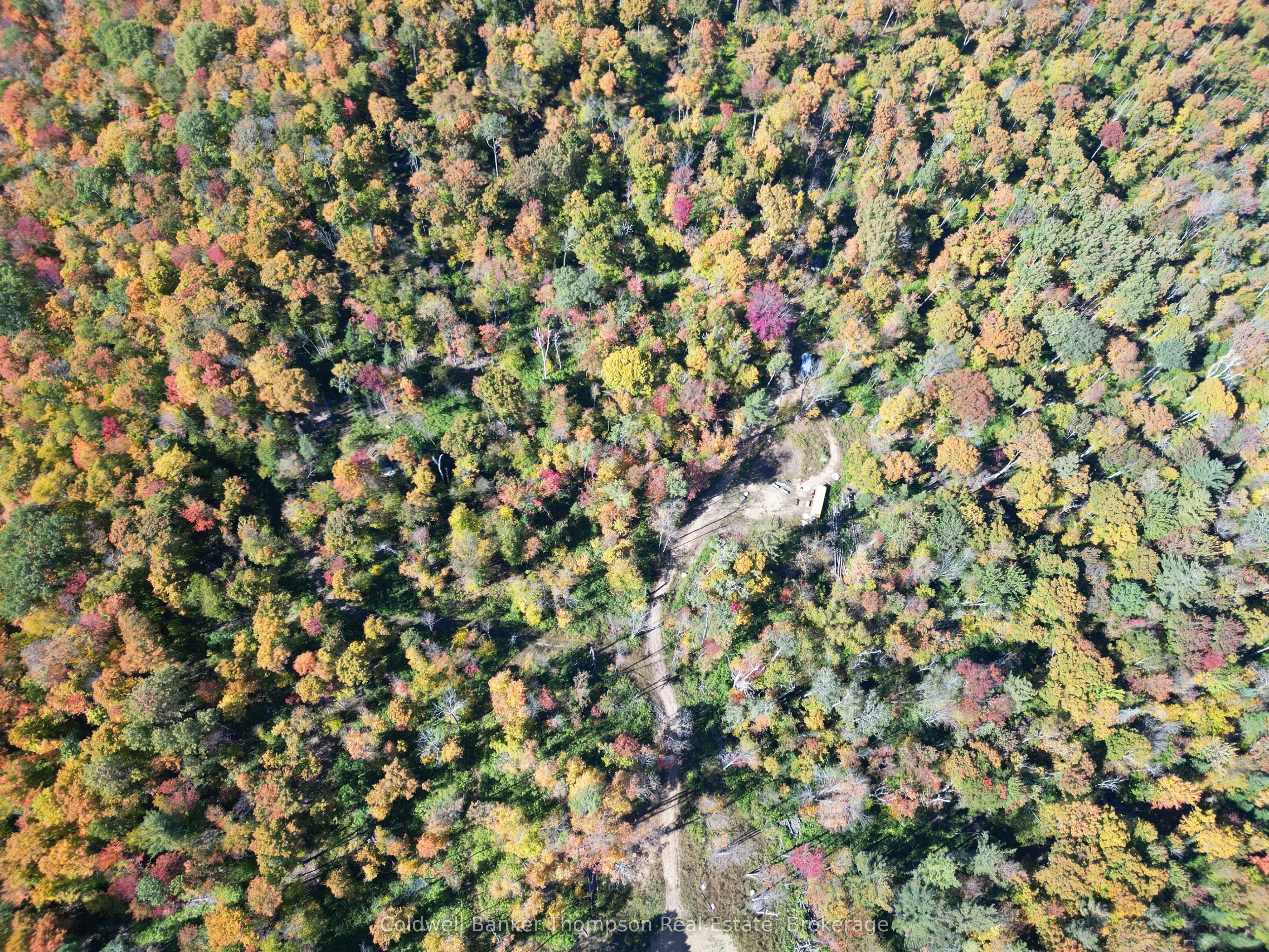 LT 29 CON 11 FRANKLIN; Lake of Bays, The District Municipality of Muskoka