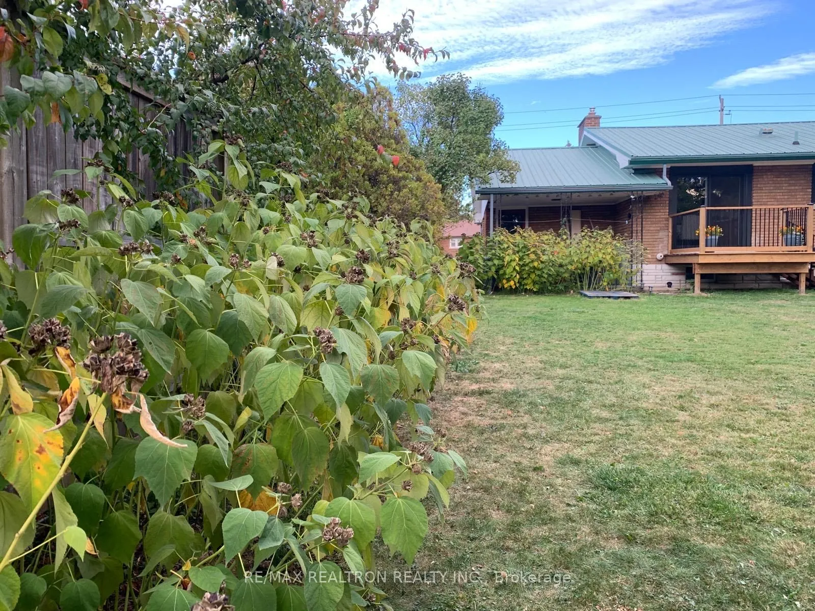 3533 Dorchester Road