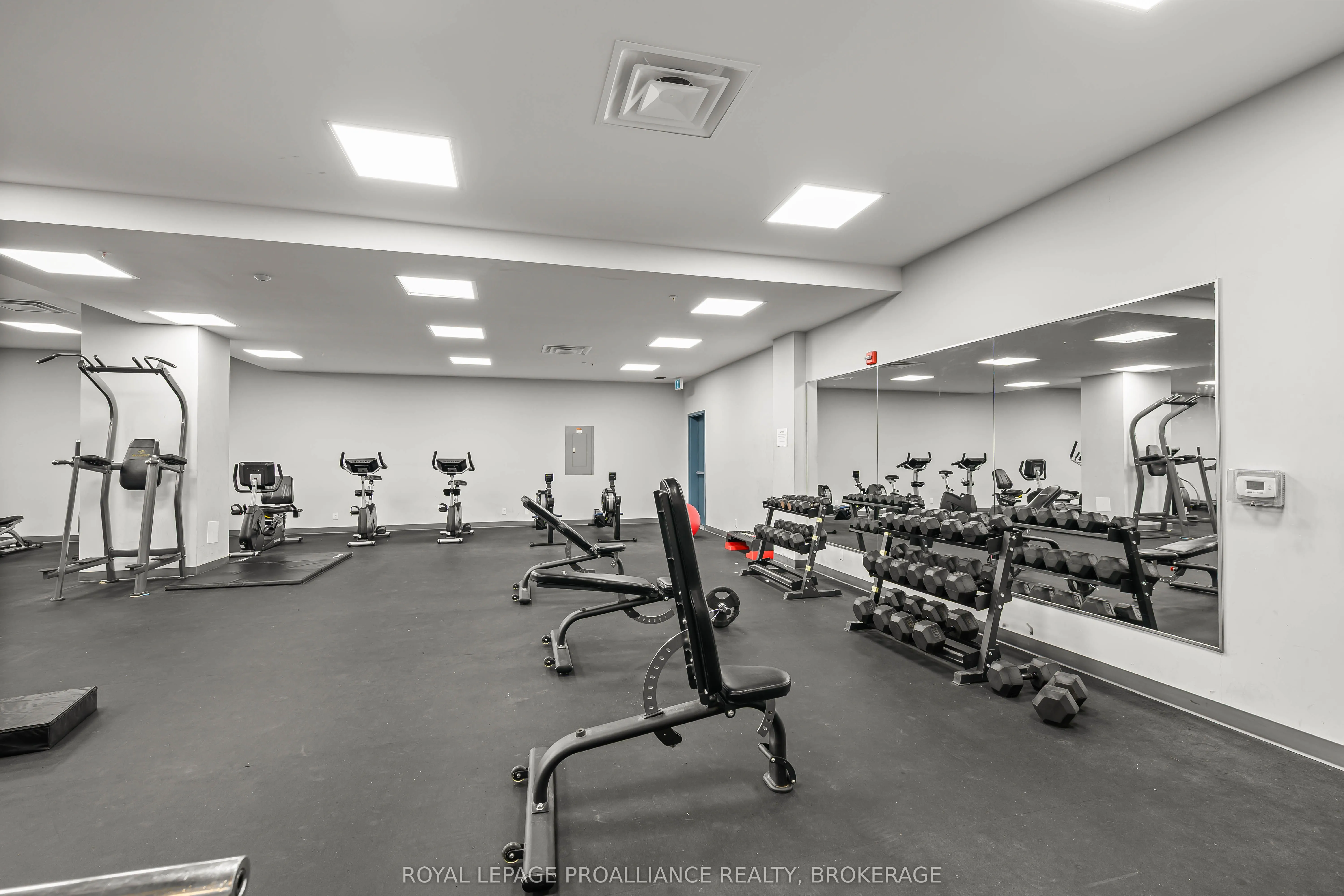 652 Princess Street, #914
