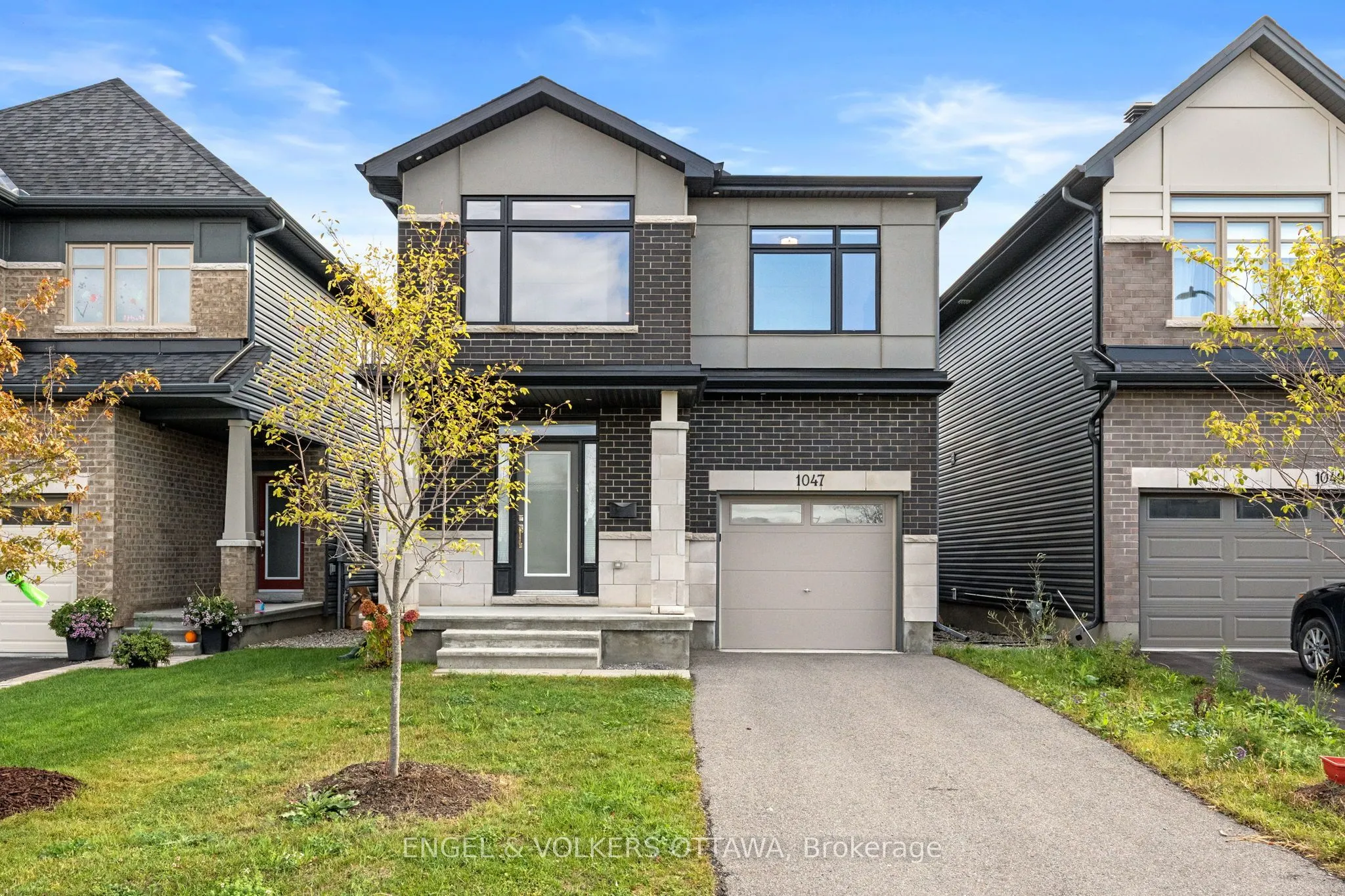 1047 Hydrangea Avenue