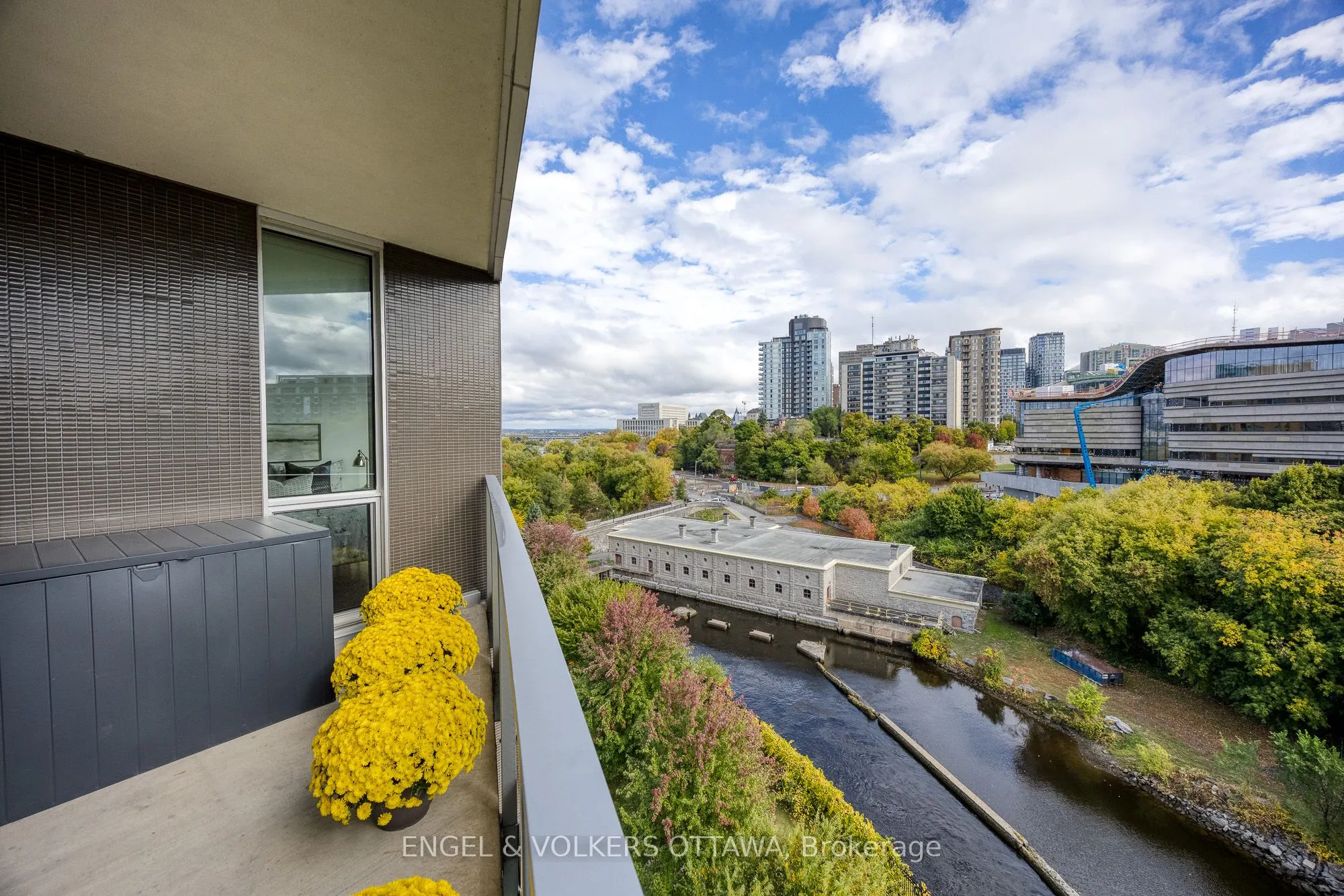 300C Lett Street, #802