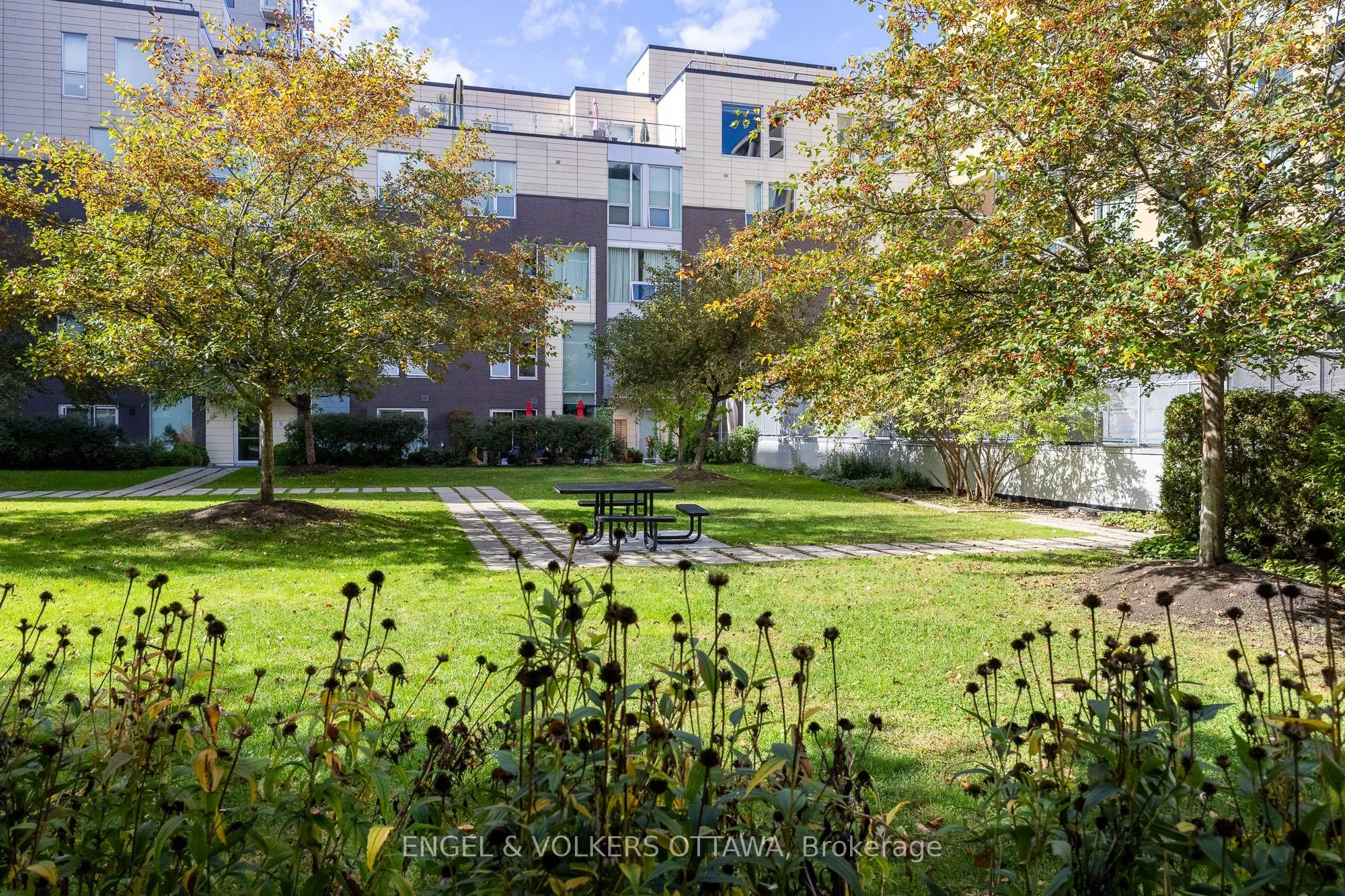 300C Lett Street, #802