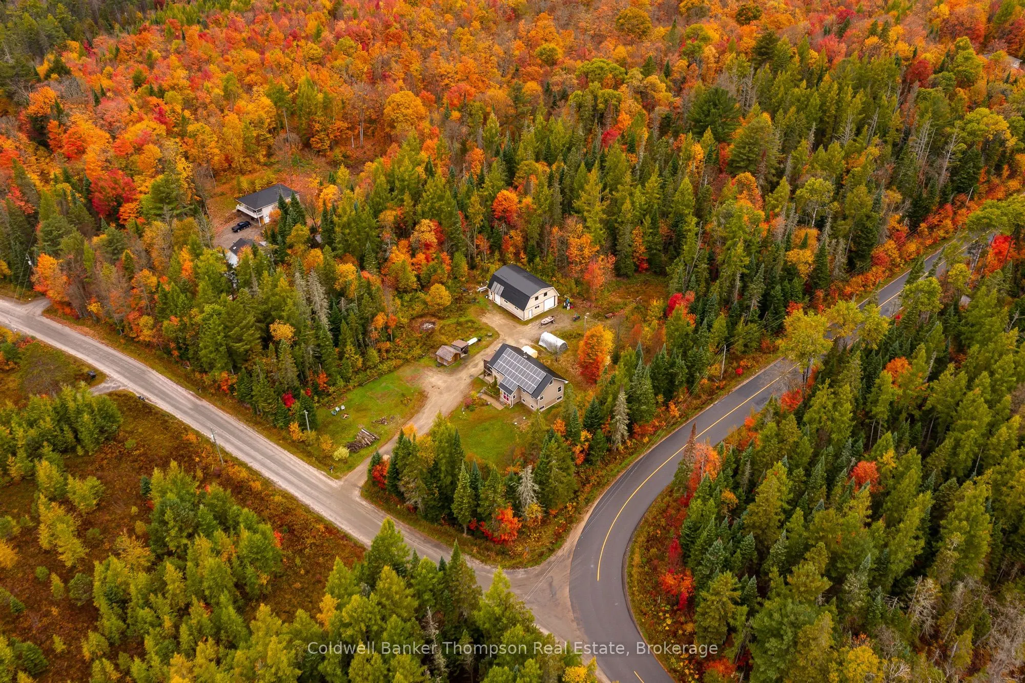 20 Wolf Paw Road