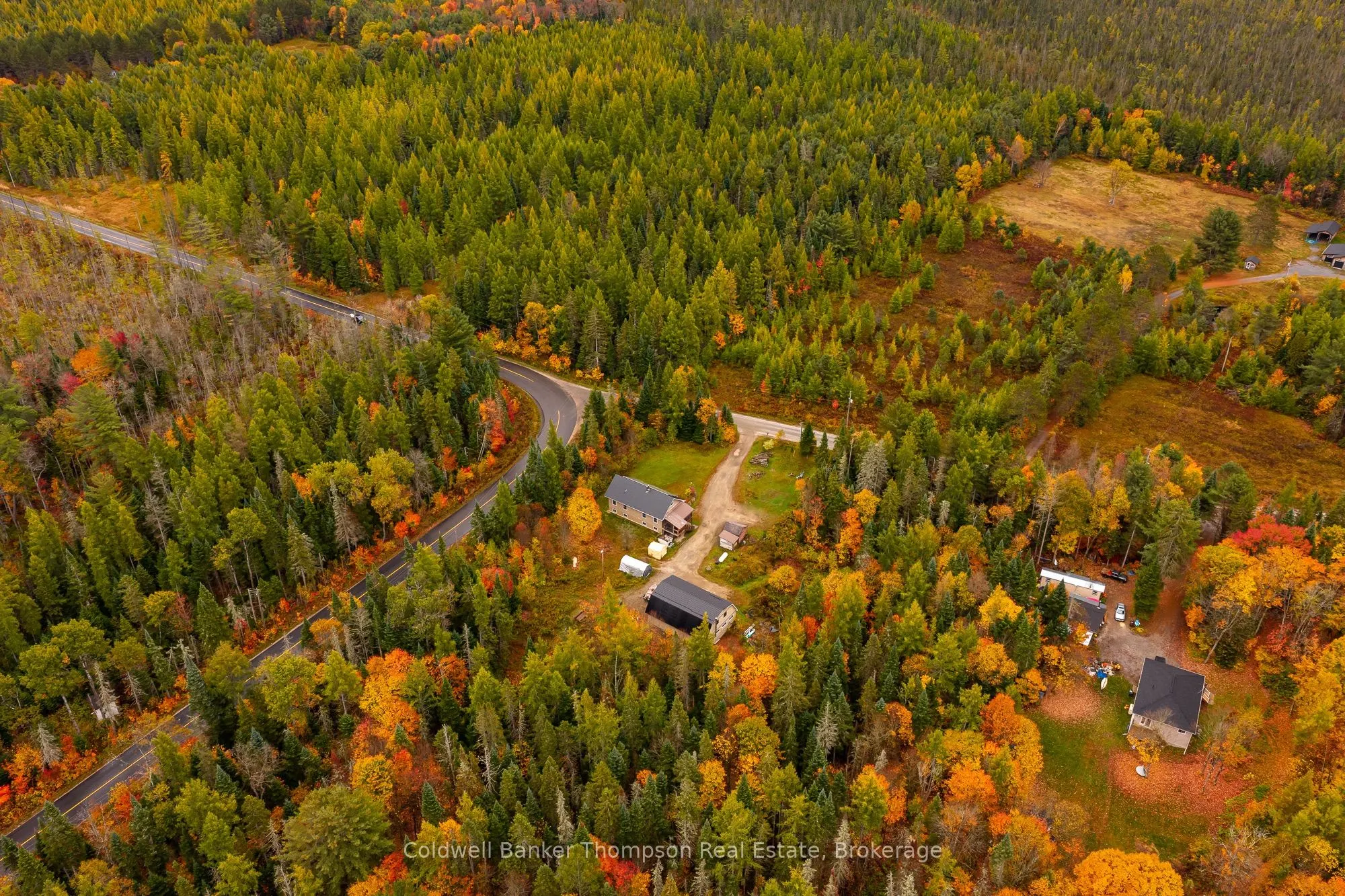 20 Wolf Paw Road