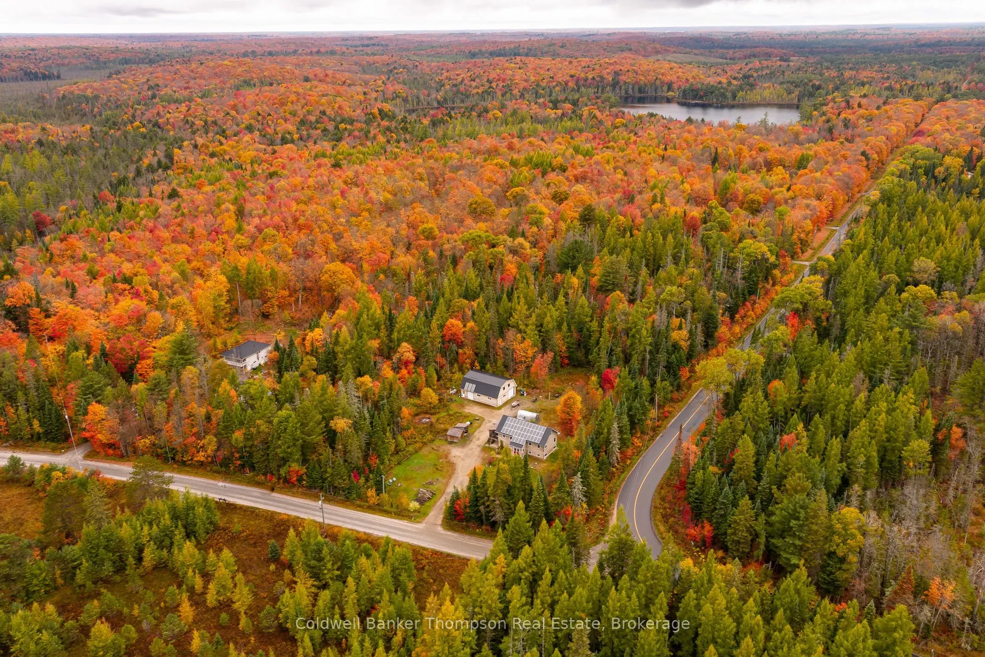 20 Wolf Paw Road