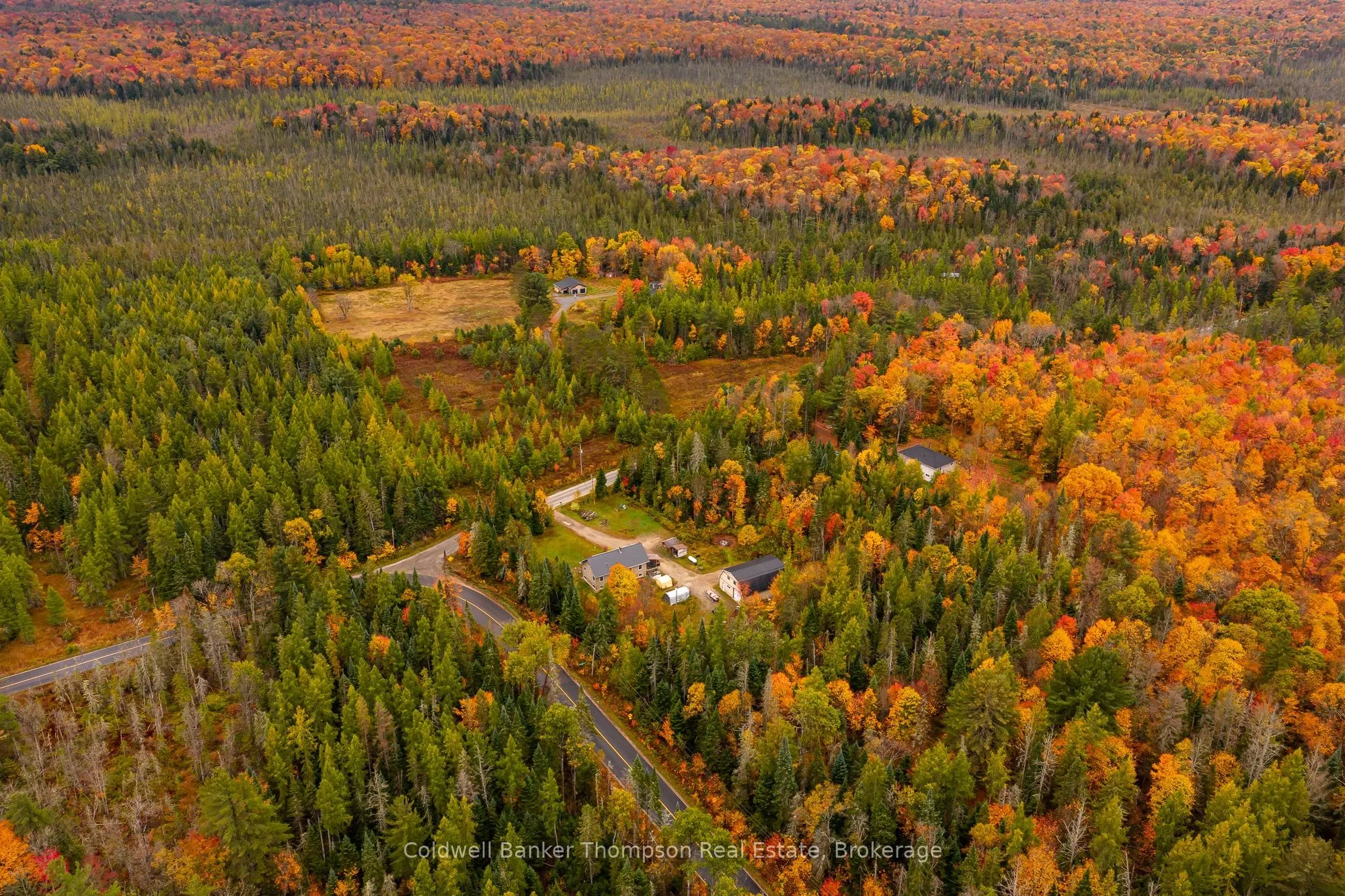 20 Wolf Paw Road