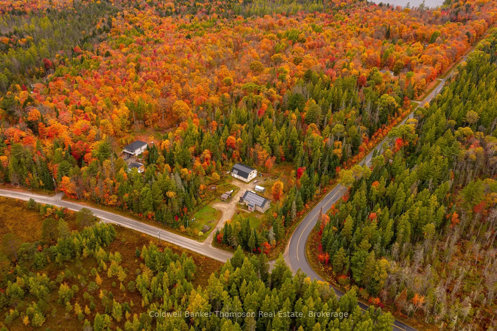 20 Wolf Paw Road