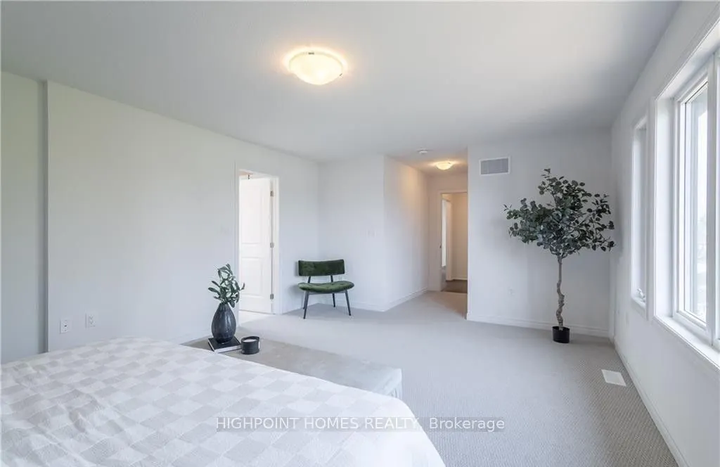 50 Halo Street