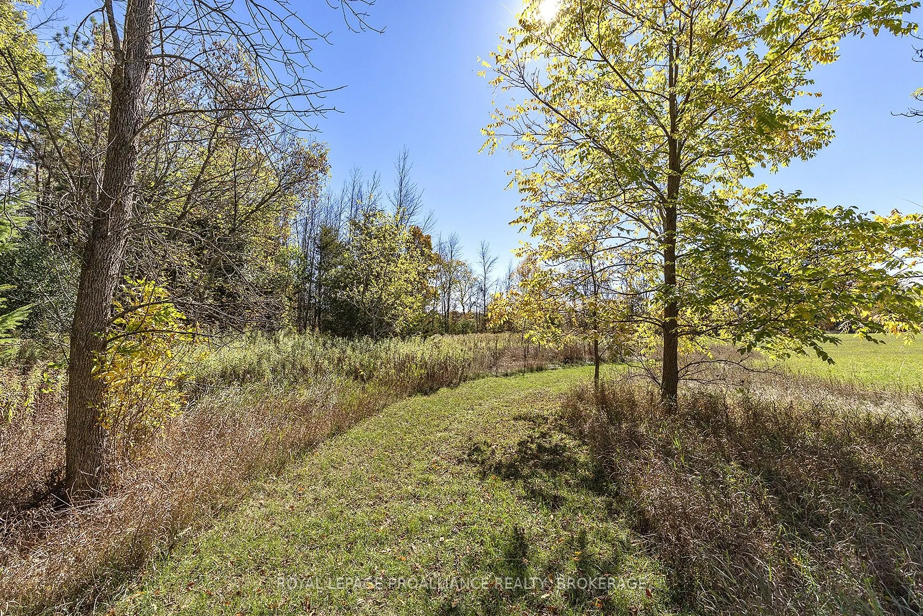 1136 Millhaven Road