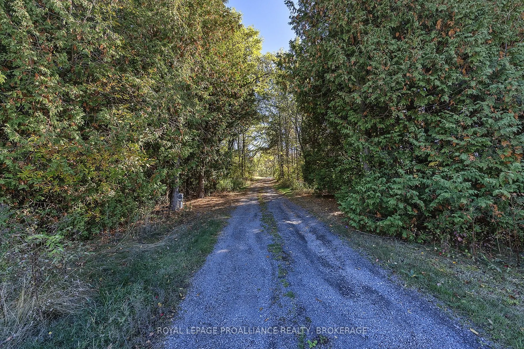1136 Millhaven Road