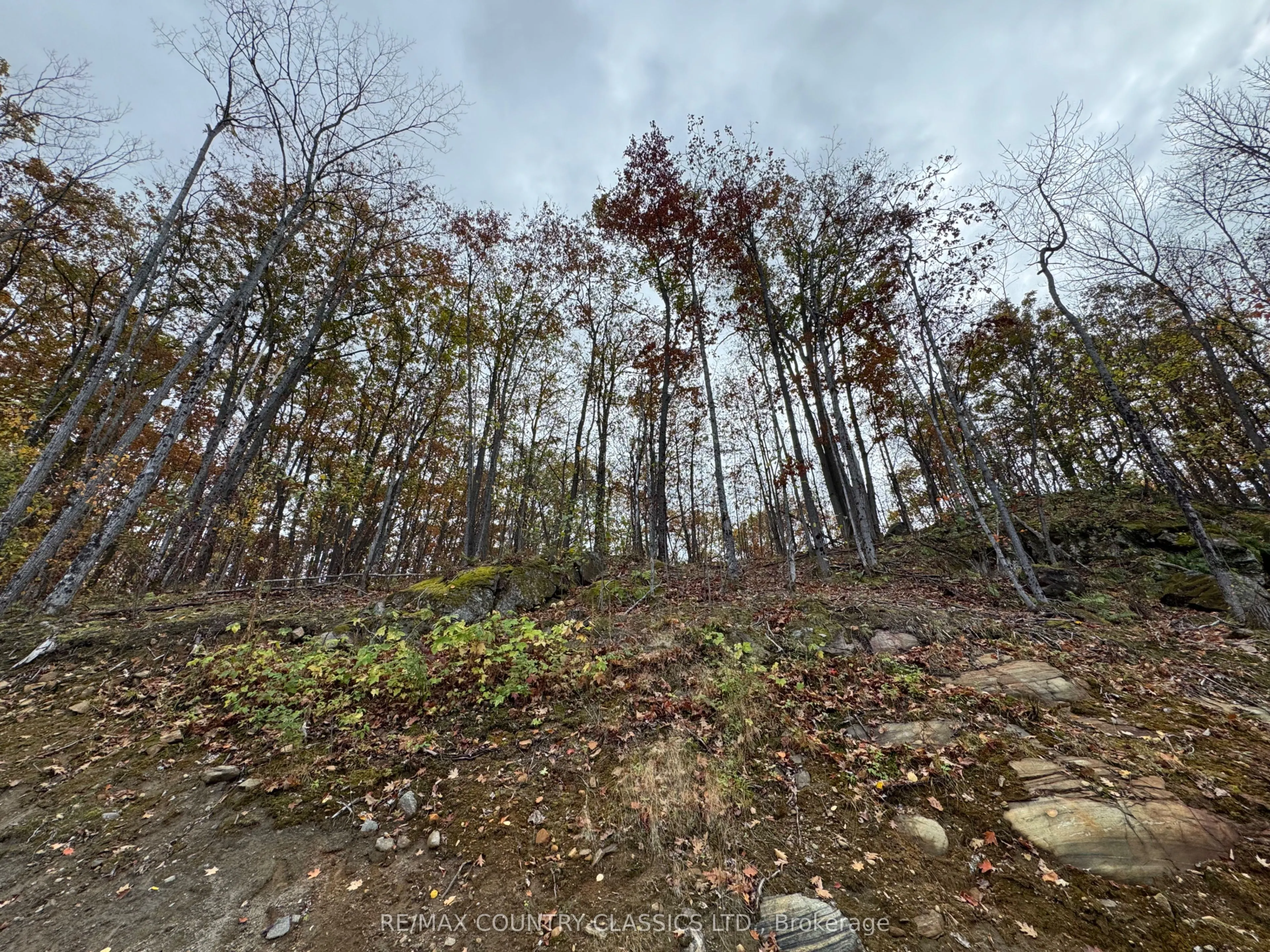 436 SNOW Road
