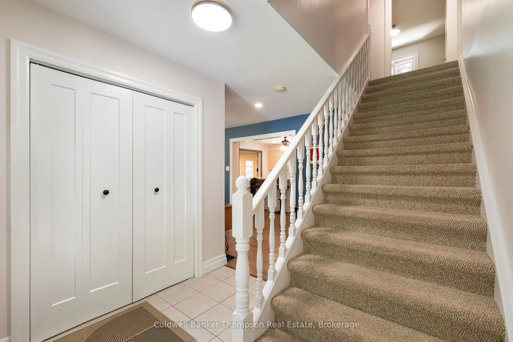 40 White Birch Lane