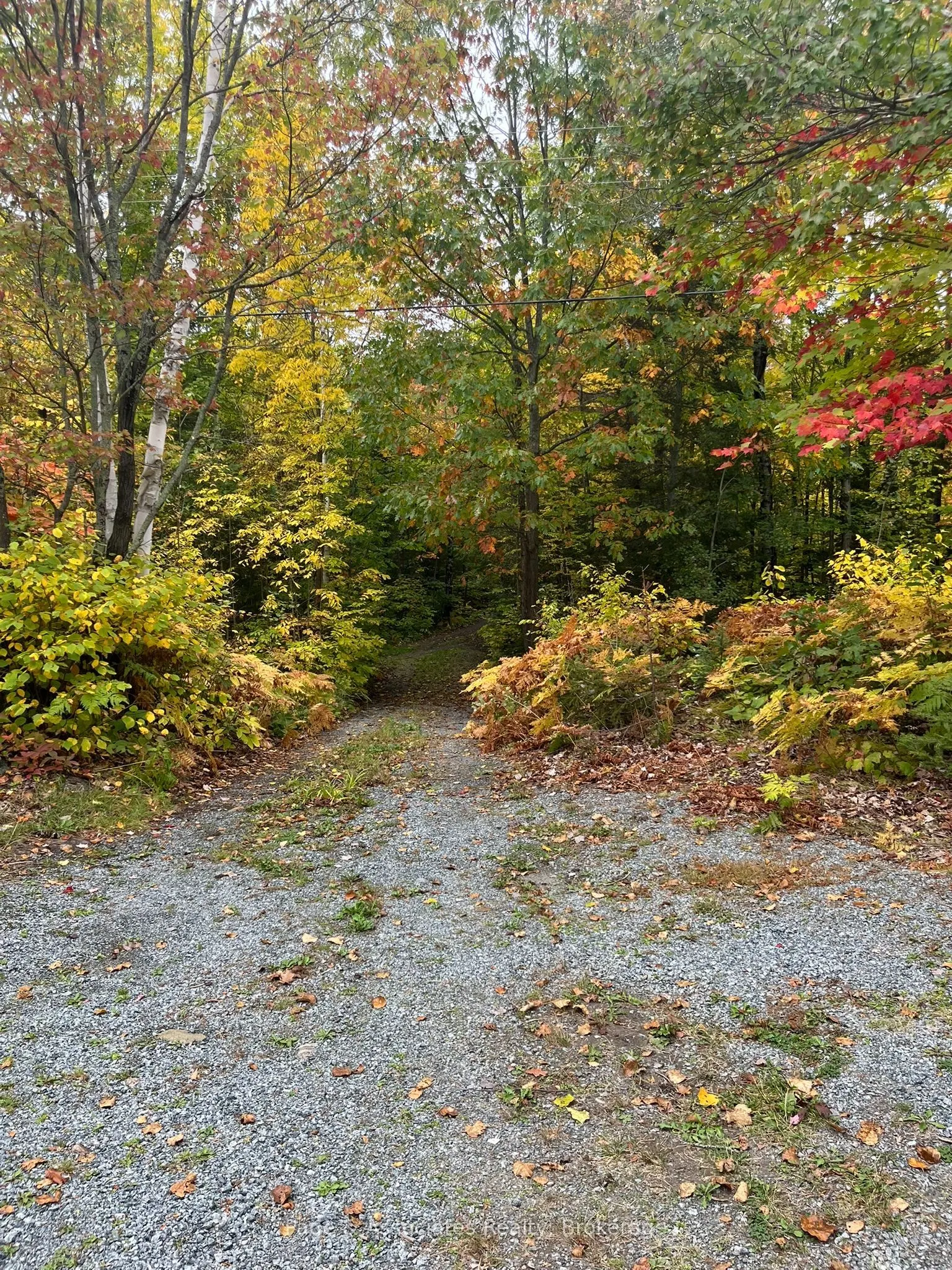 124A Northshore Road