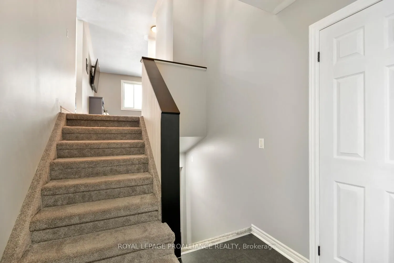 11 Judy Place