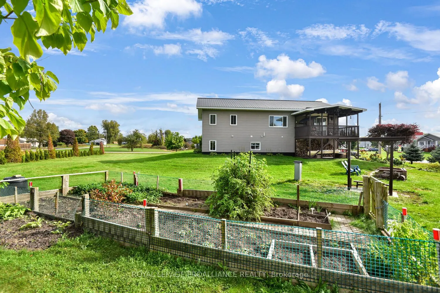 11 Judy Place
