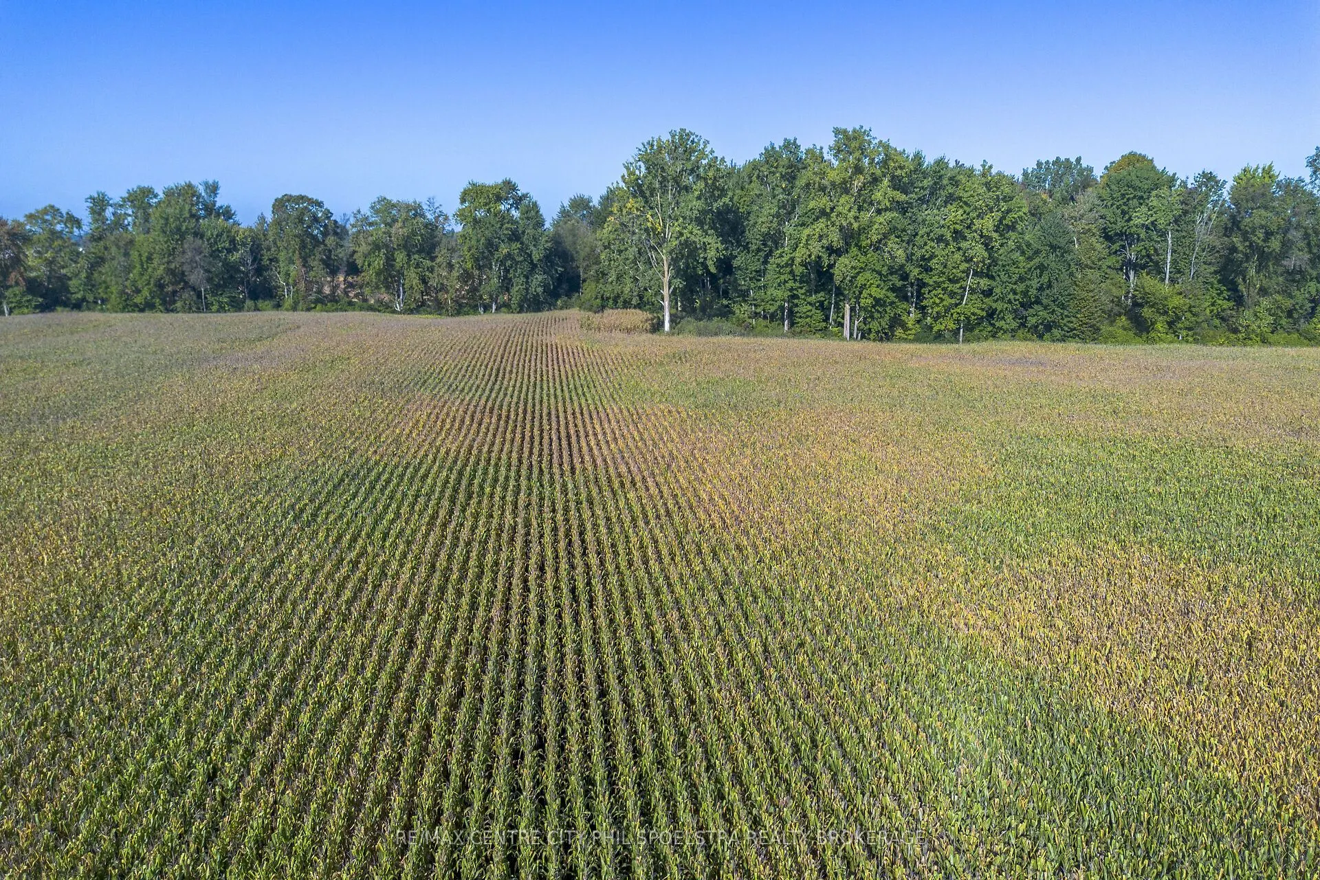 29182 Zone 4 Road