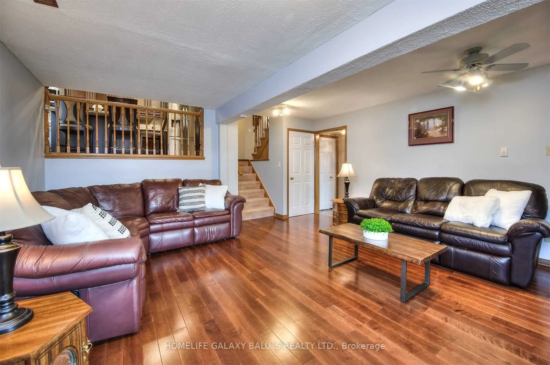 3 Cora Drive